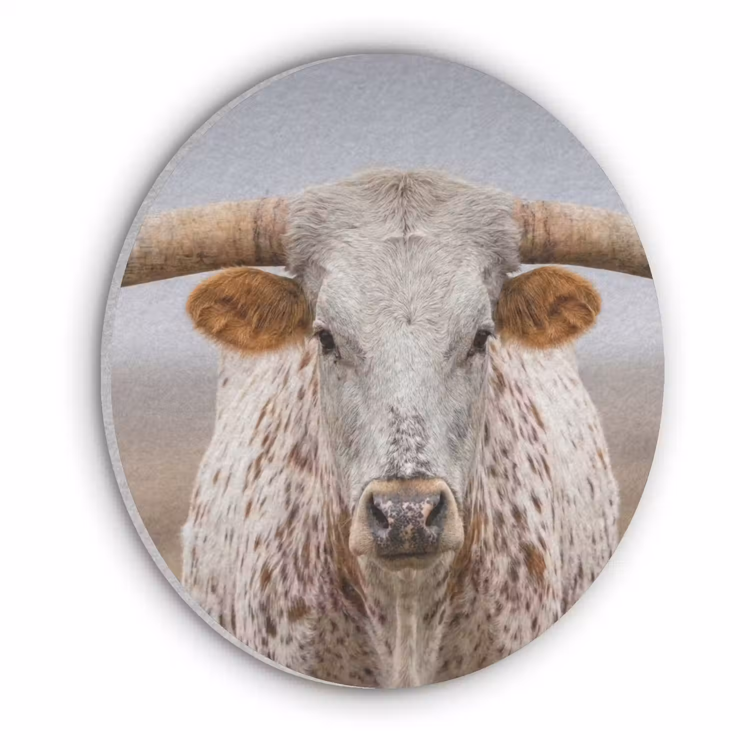 Longhorn - Grasveld - Dier Akoestische PET Vilt - Rond klein -3d