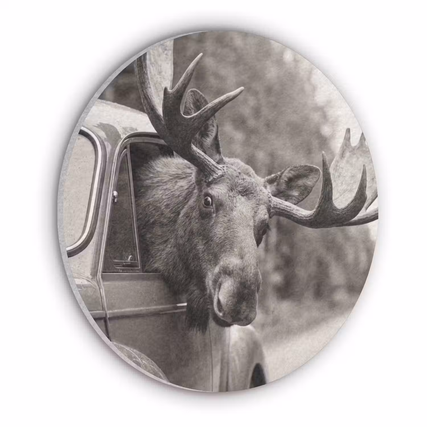 Eland - Auto - Gewei - Zwart - Wit Akoestische PET Vilt - Rond klein -3d