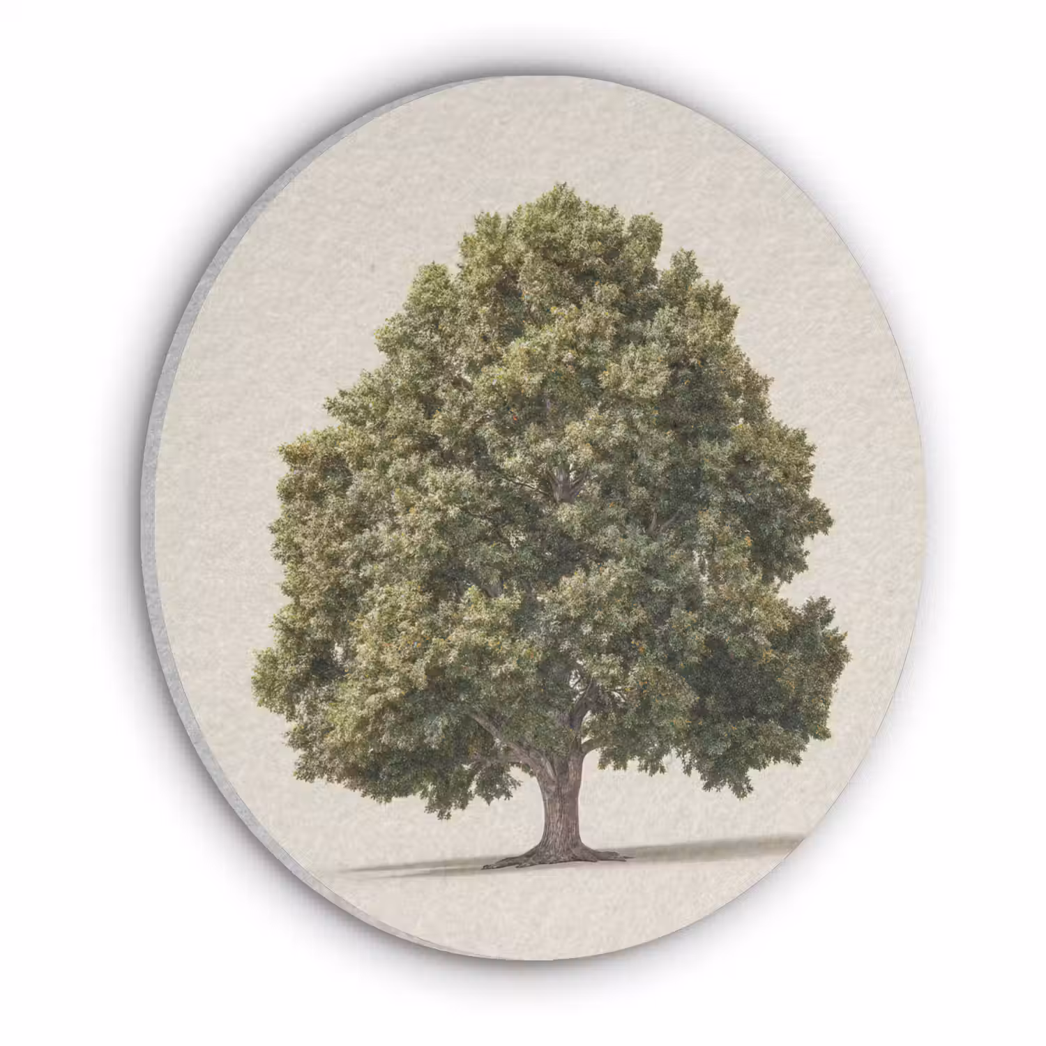 Eikenboom - Groen - Lichte achtergrond Akoestische PET Vilt - Rond klein -3d
