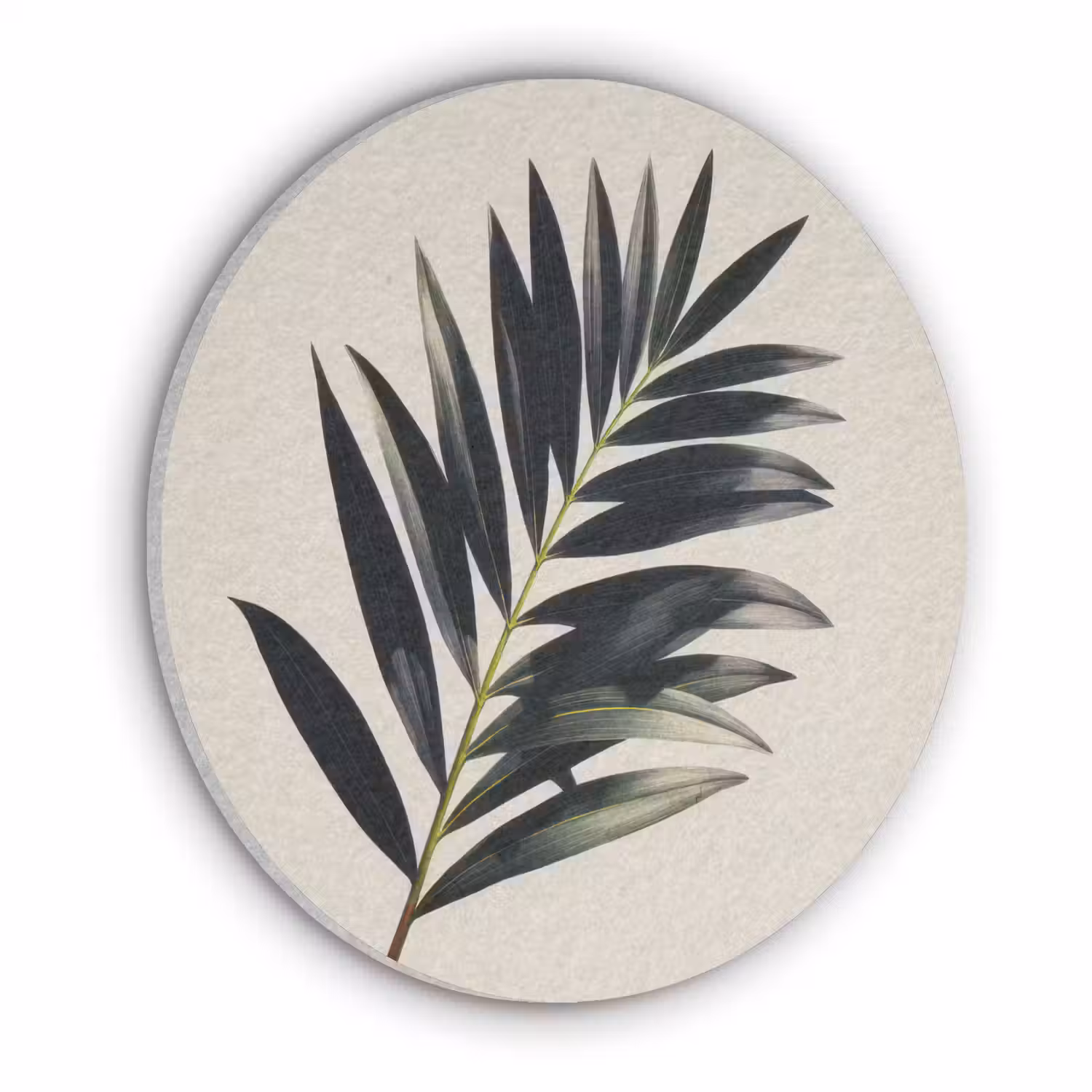 Palmblad - Subtiel - Groen - beige Akoestische PET Vilt - Rond klein -3d