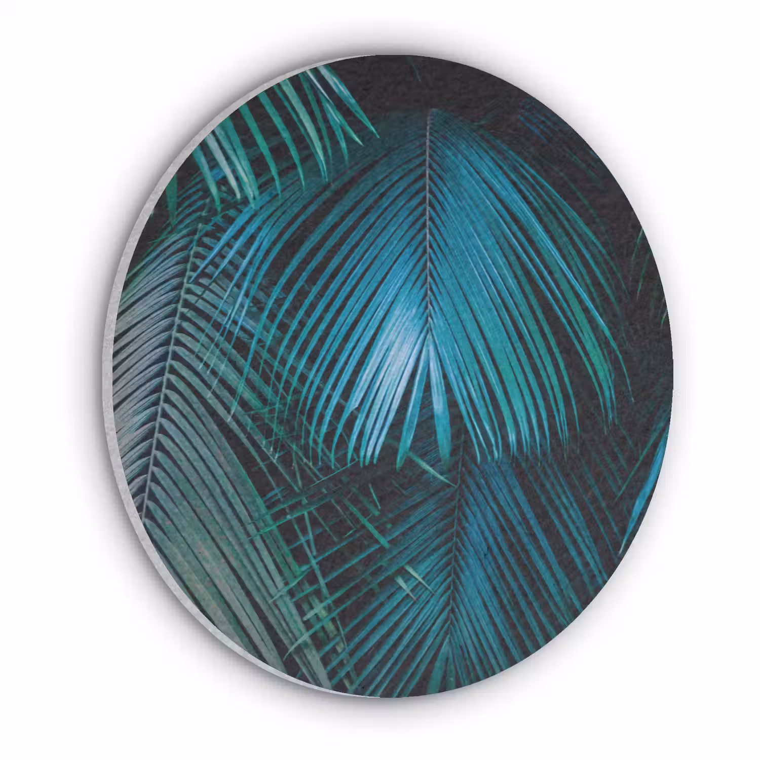 Palmblad - Tropisch - Natuur - Jungle Akoestische PET Vilt - Rond klein -3d