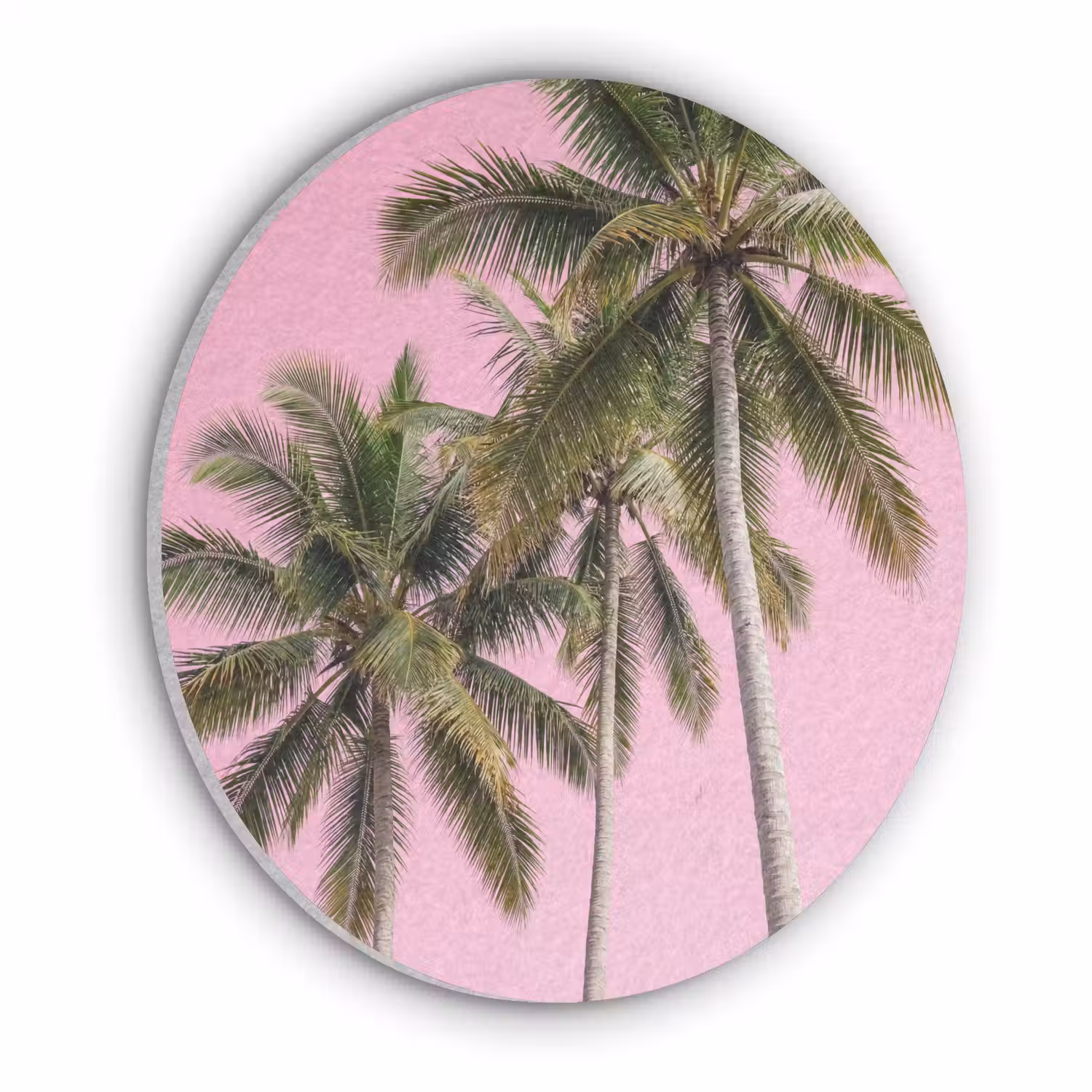 Palmboom - Tropisch - Pink Akoestische PET Vilt - Rond klein -3d