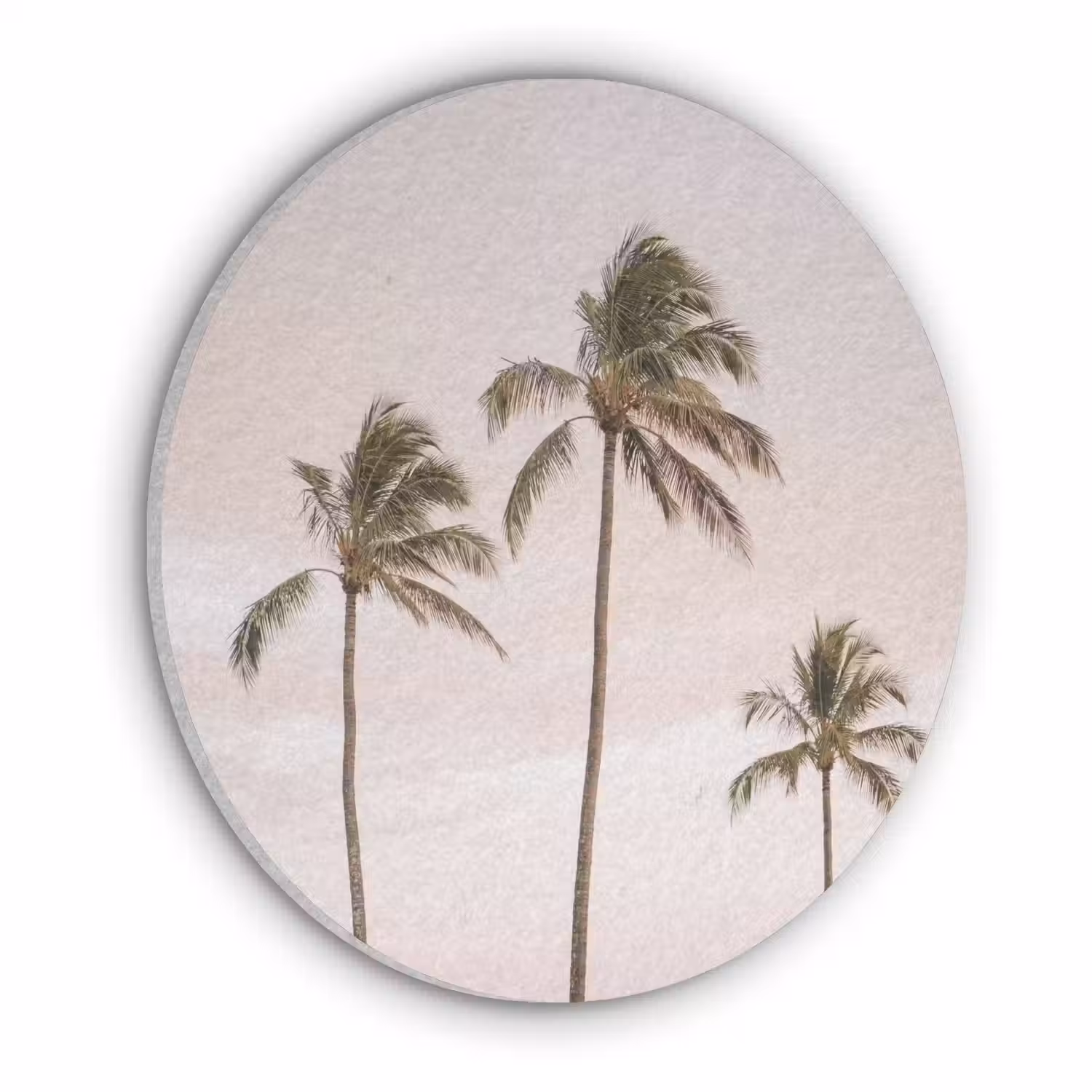 Palmbomen - Zonsondergang - Roze Akoestische PET Vilt - Rond klein -3d
