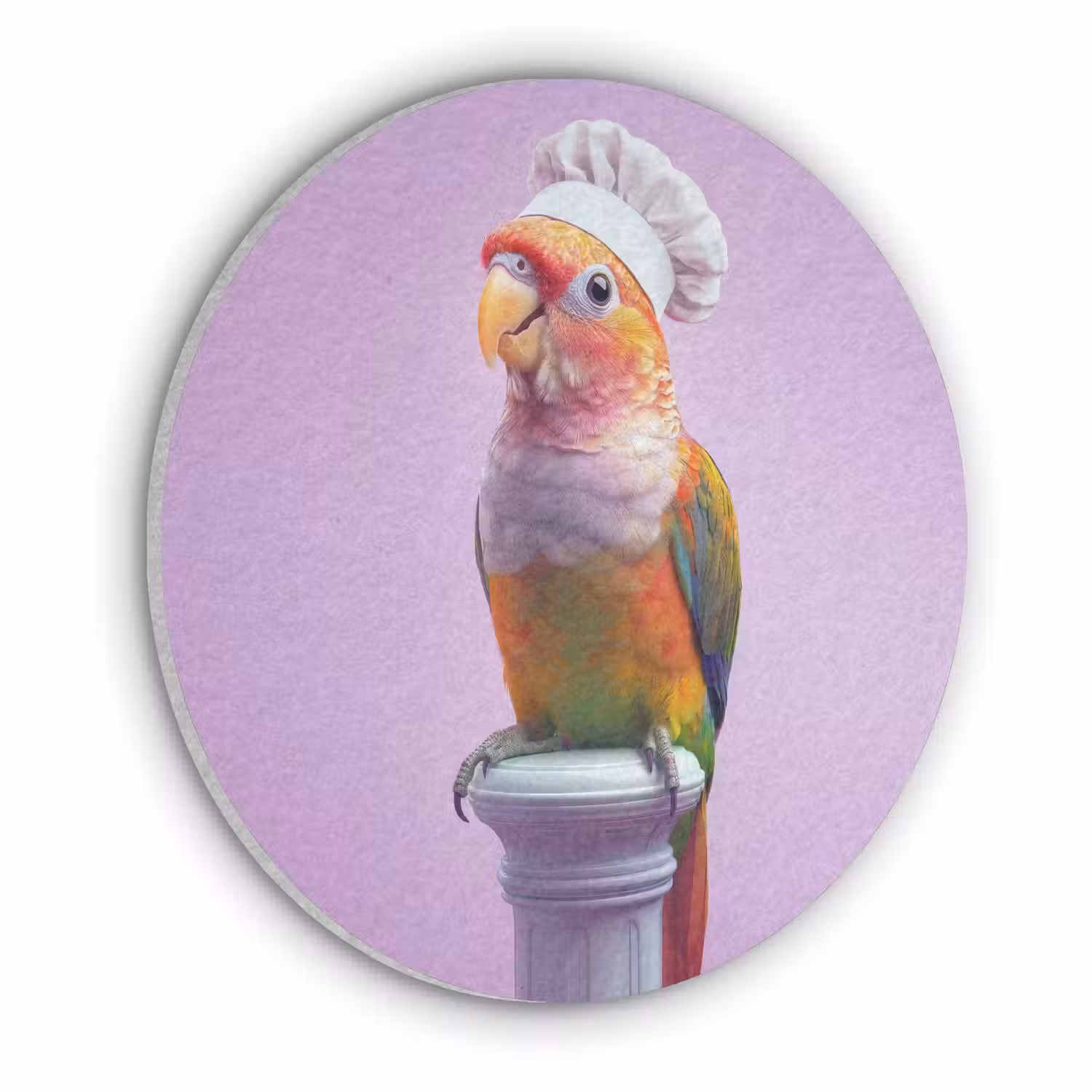 Papegaai - Koksmuts - Pilaar - Vogel Akoestische PET Vilt - Rond klein -3d
