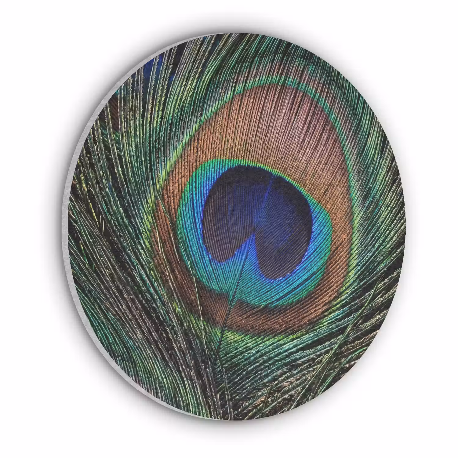 Pauwenveren - Klassiek - Groen Akoestische PET Vilt - Rond klein -3d