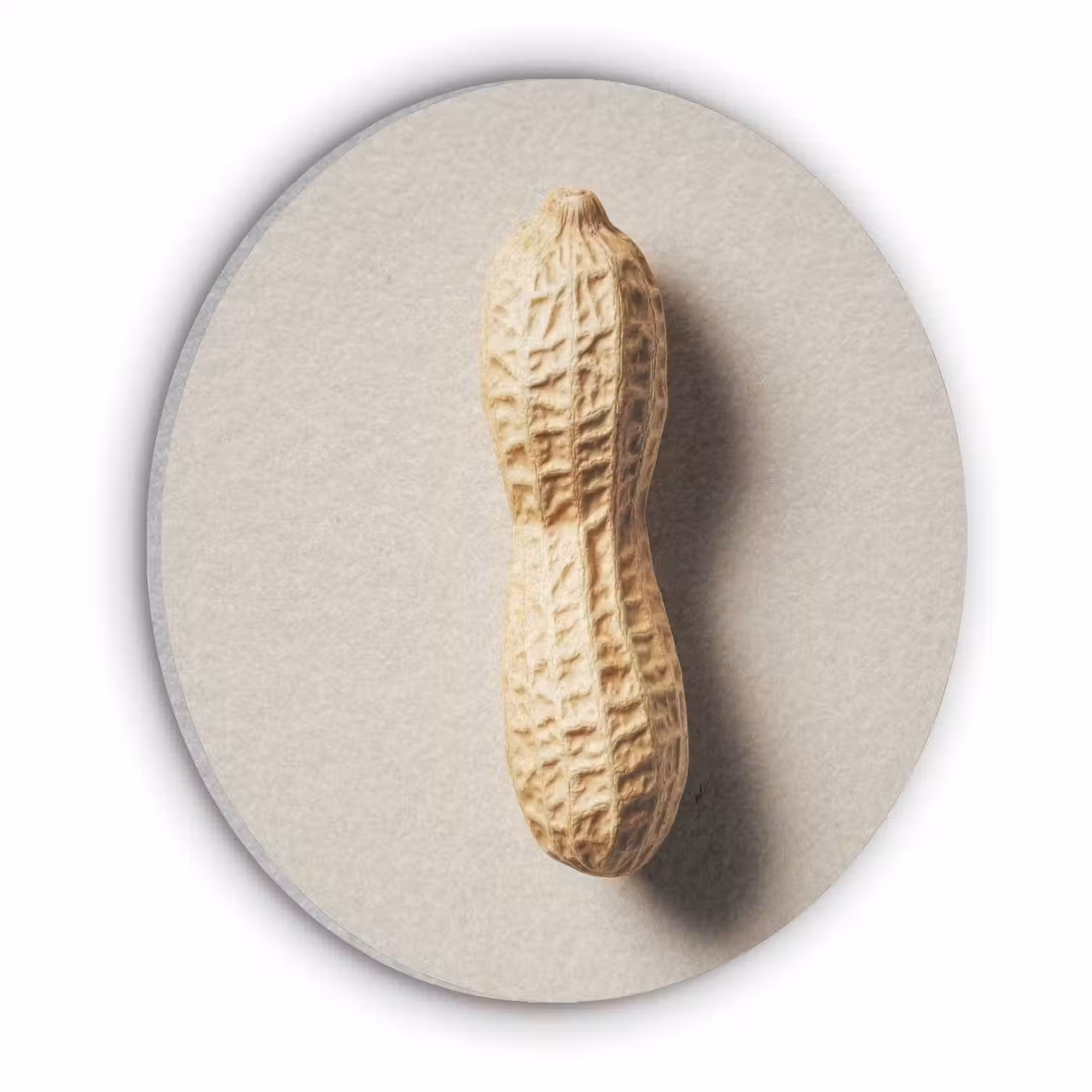 Pinda - Ruw - Beige Akoestische PET Vilt - Rond klein -3d