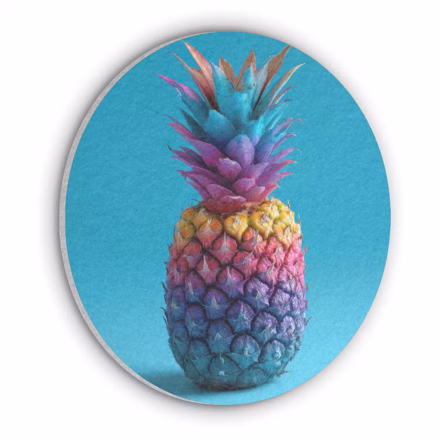 Ananas - Regenboog - Blauw - Popart Akoestische PET Vilt - Rond klein -3d