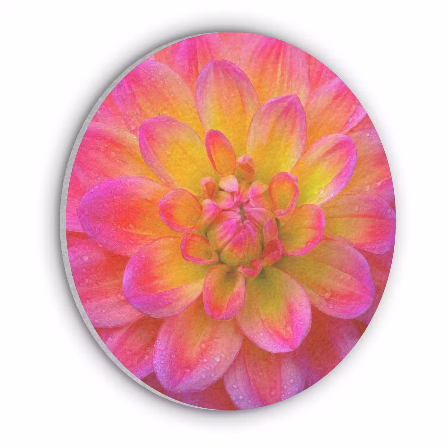 Roze - Dahlia - Kleurrijk Akoestische PET Vilt - Rond klein -3d