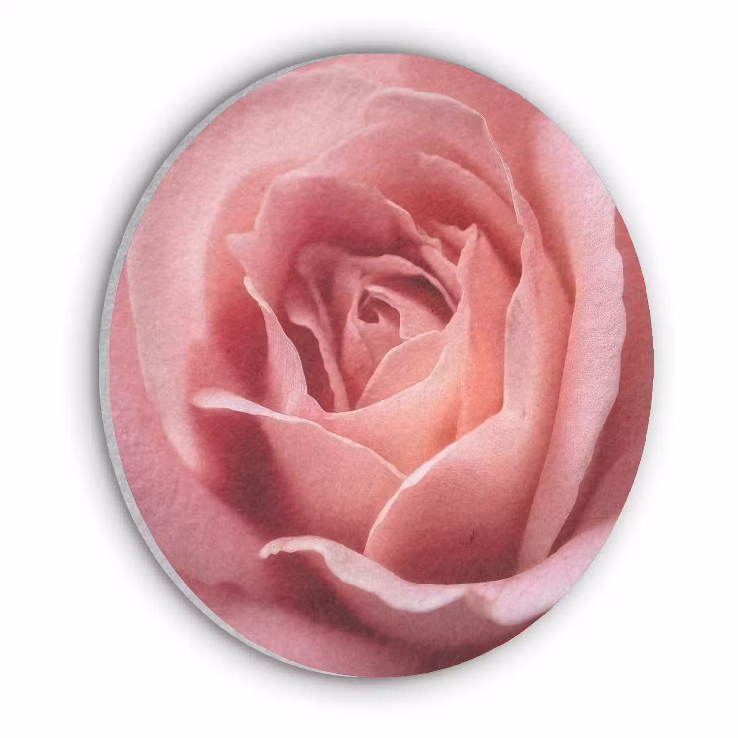 Roze - Roos - Romantisch Akoestische PET Vilt - Rond klein -3d