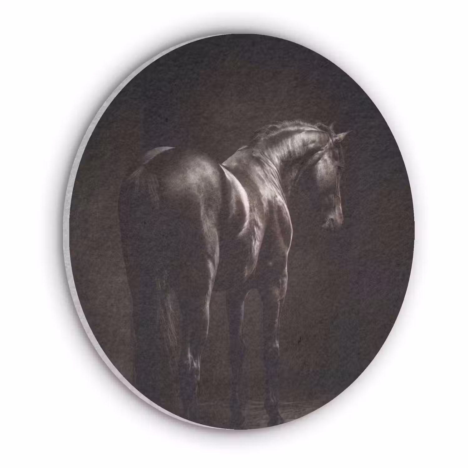 Krachtig - Paard - Donker Akoestische PET Vilt - Rond klein -3d