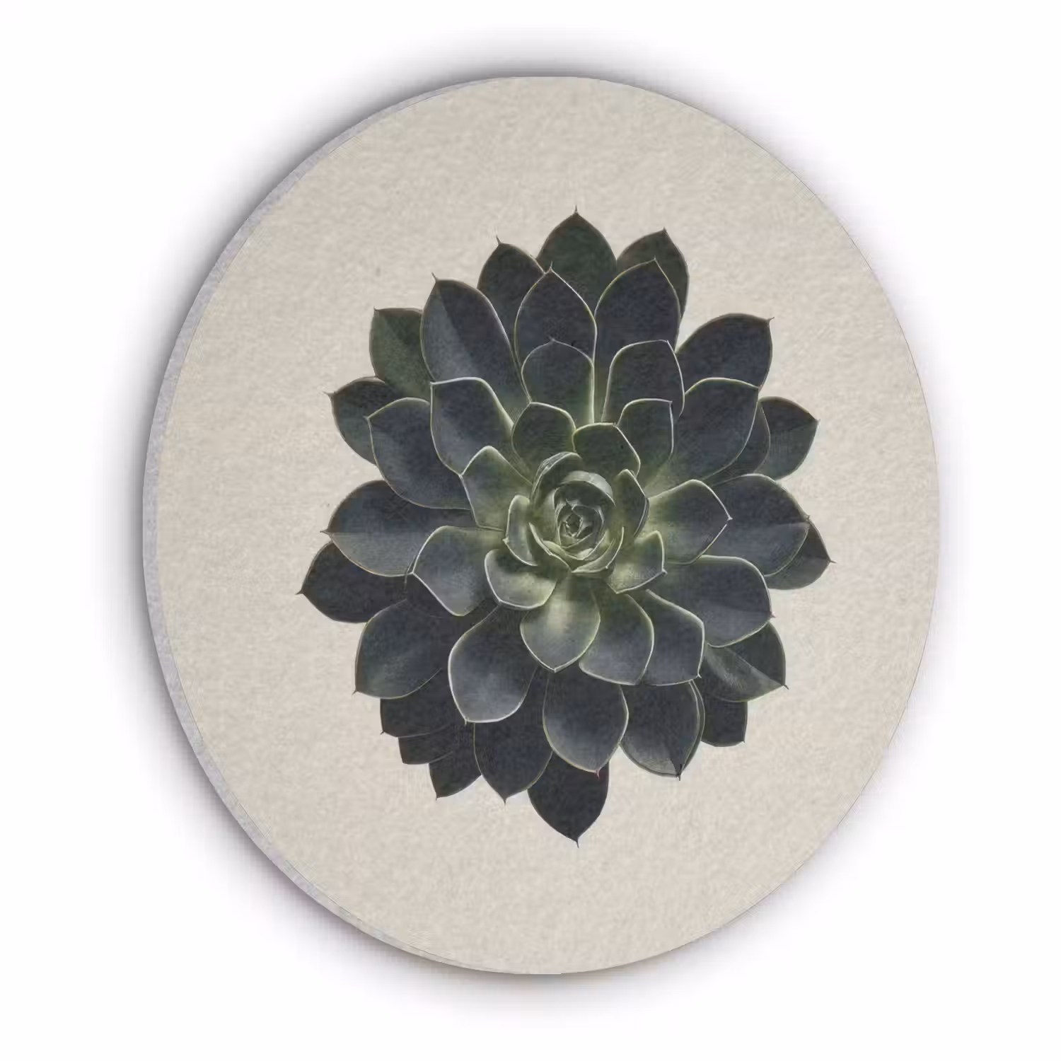 Rozet - Cirkelvormig - Donkergroen Akoestische PET Vilt - Rond klein -3d