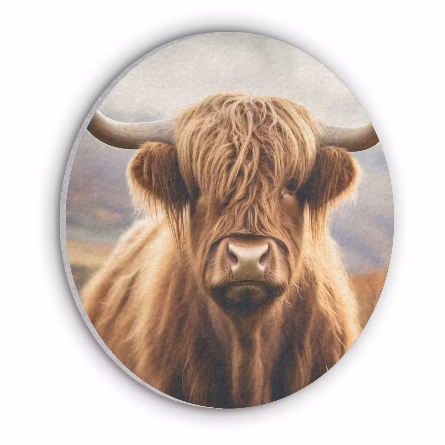 Schotse hooglander - Landschap - Dier Akoestische PET Vilt - Rond klein -3d