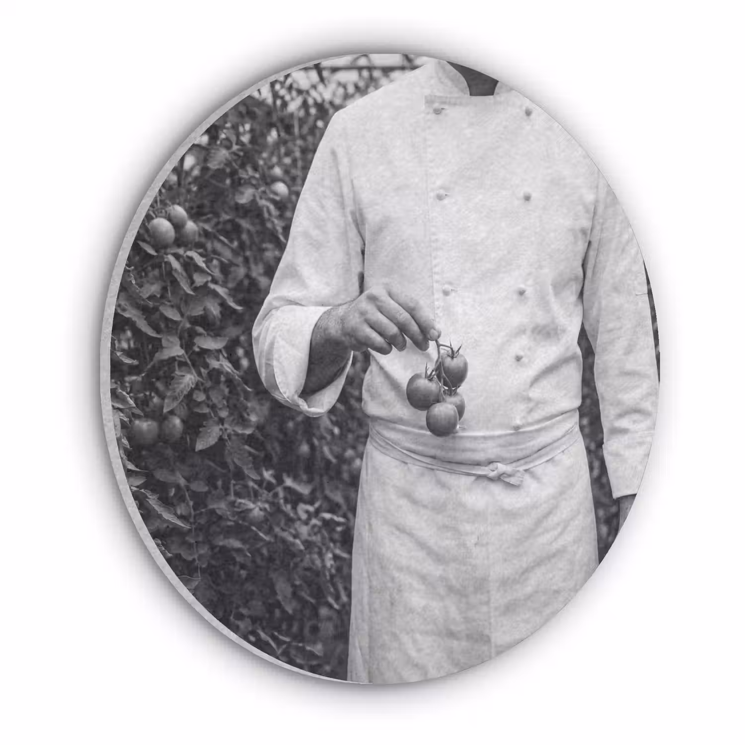 Tomaten - Chef - Zwart - Wit Akoestische PET Vilt - Rond klein -3d