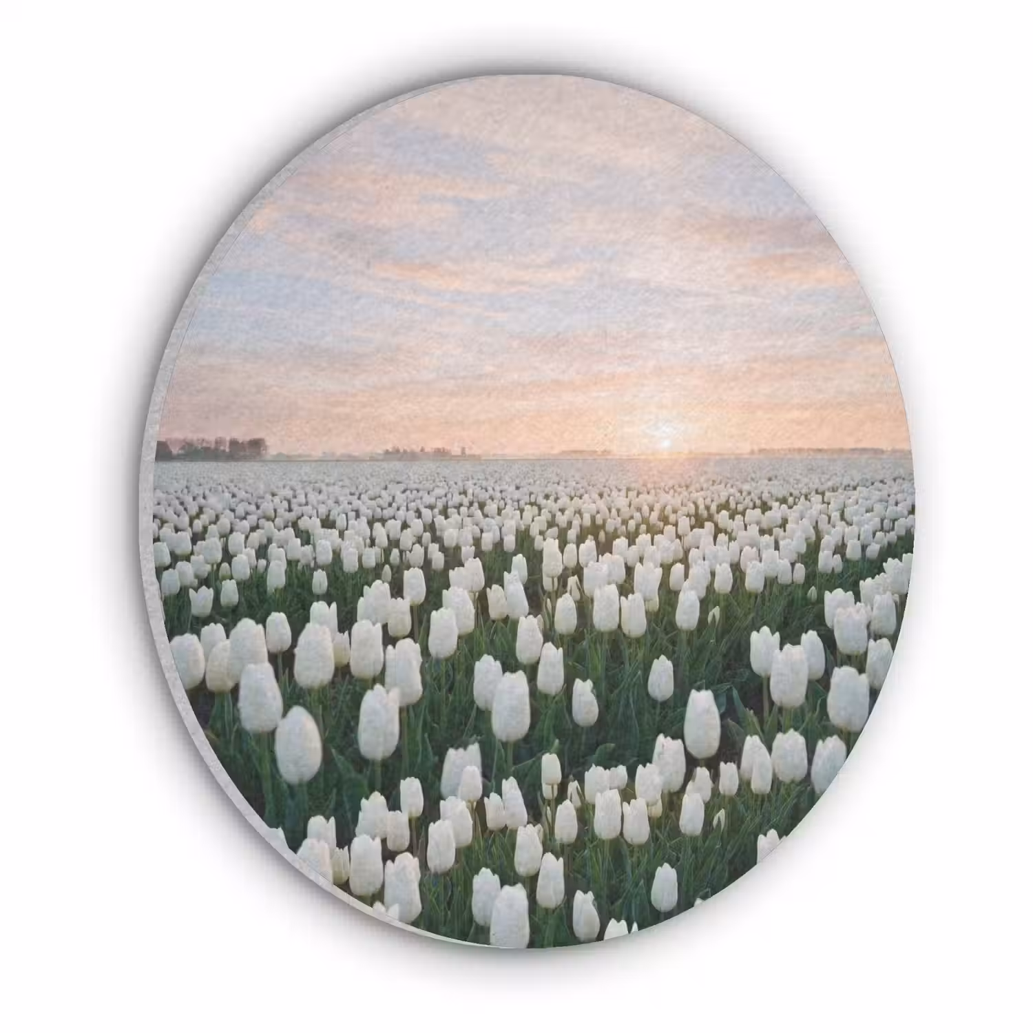 Tulpen - Landschap - Wit Akoestische PET Vilt - Rond klein -3d