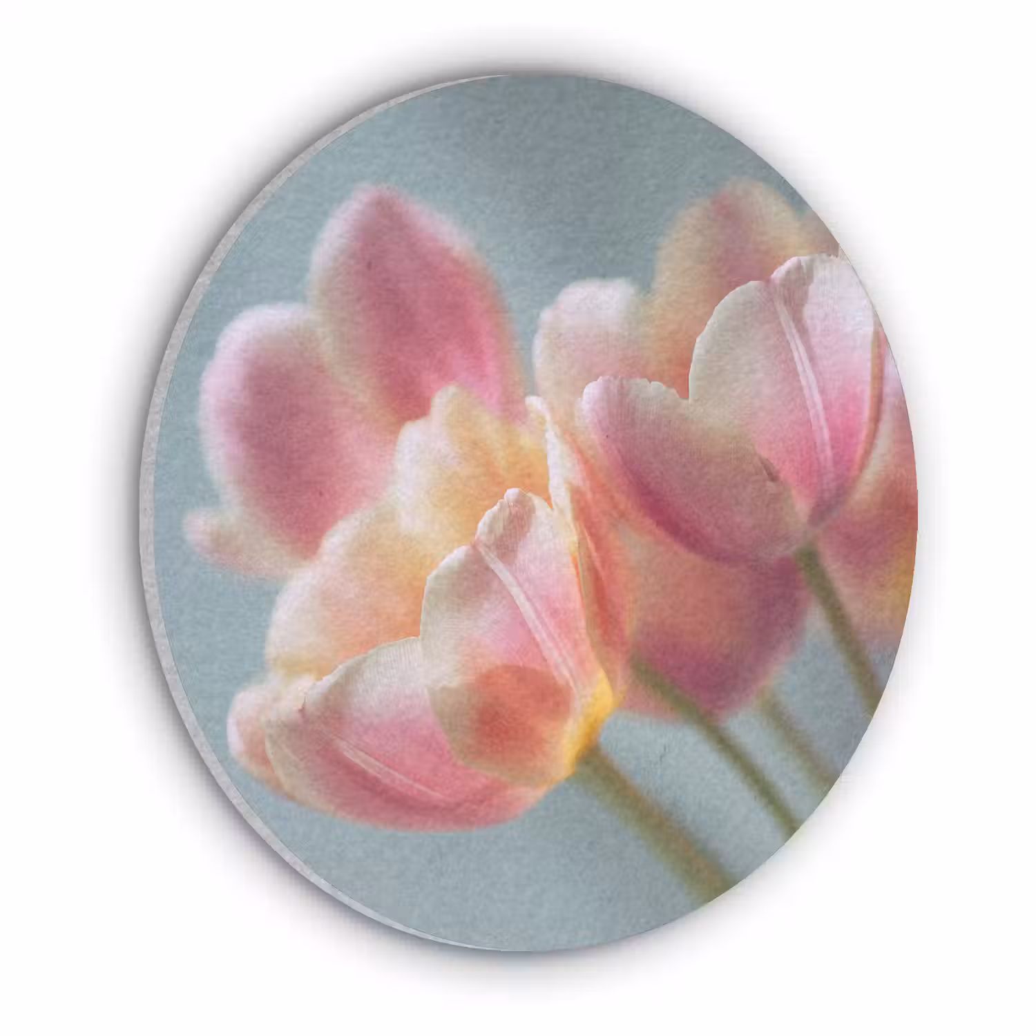 Tulpen - Roze - Stelen Akoestische PET Vilt - Rond klein -3d