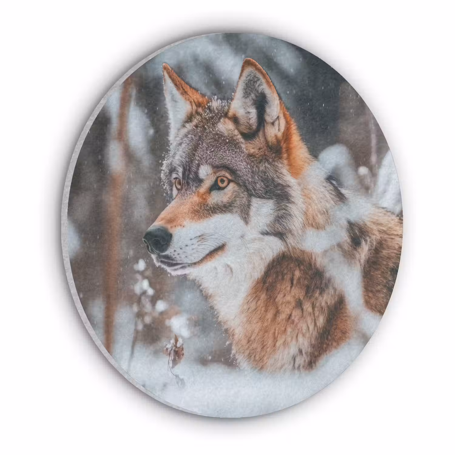 Wolf - Sneeuw - Winter - Dieren - Natuur - Sneeuw Akoestische PET Vilt - Rond klein -3d