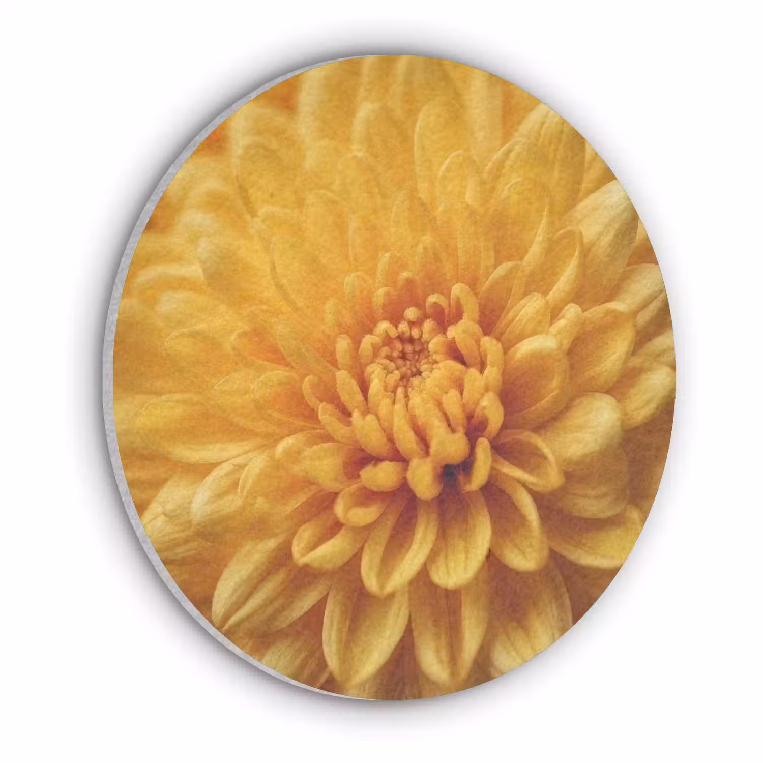 Geel - Chrysant - Zachtheid Akoestische PET Vilt - Rond klein -3d