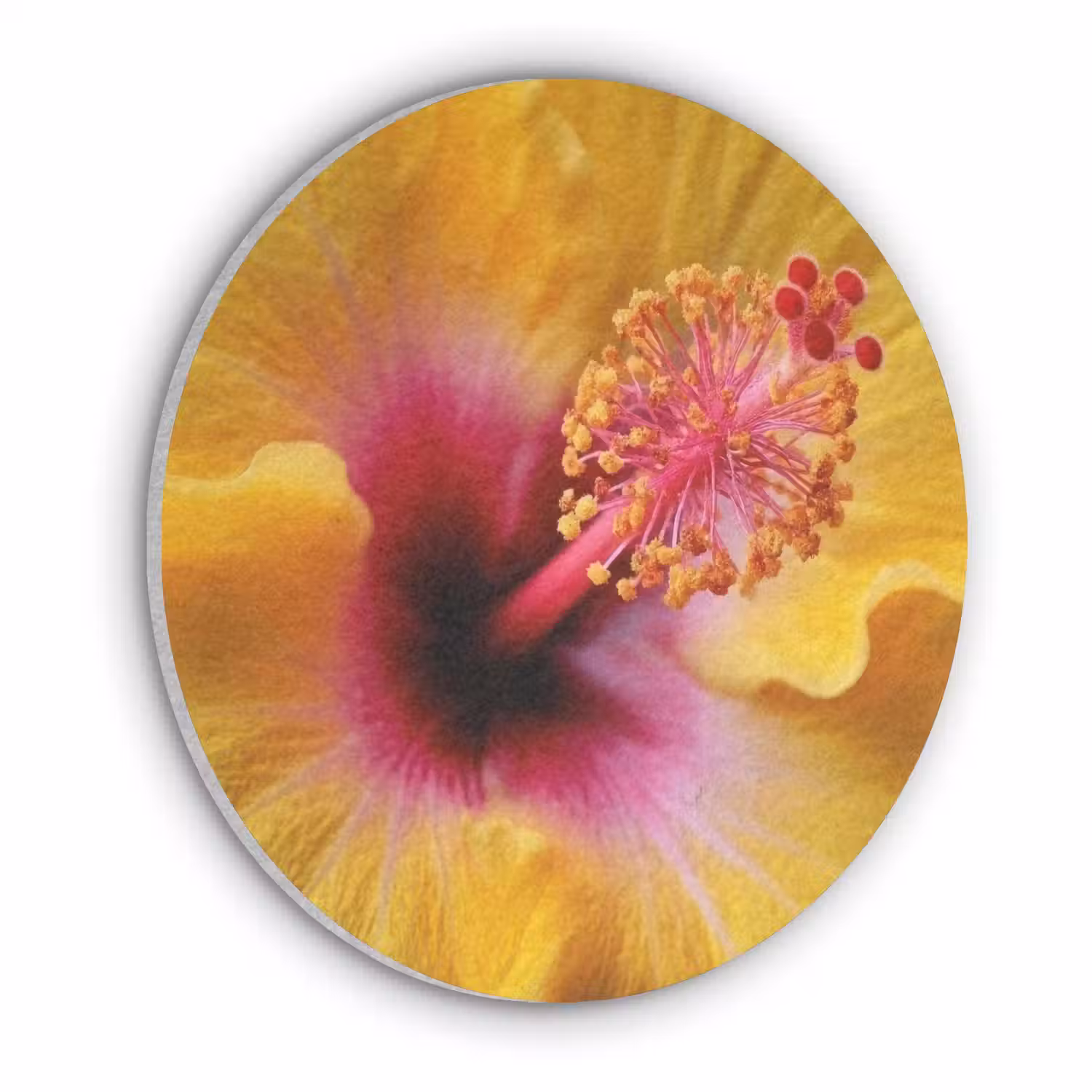 Geel - Hibiscus - Tropisch Akoestische PET Vilt - Rond klein -3d