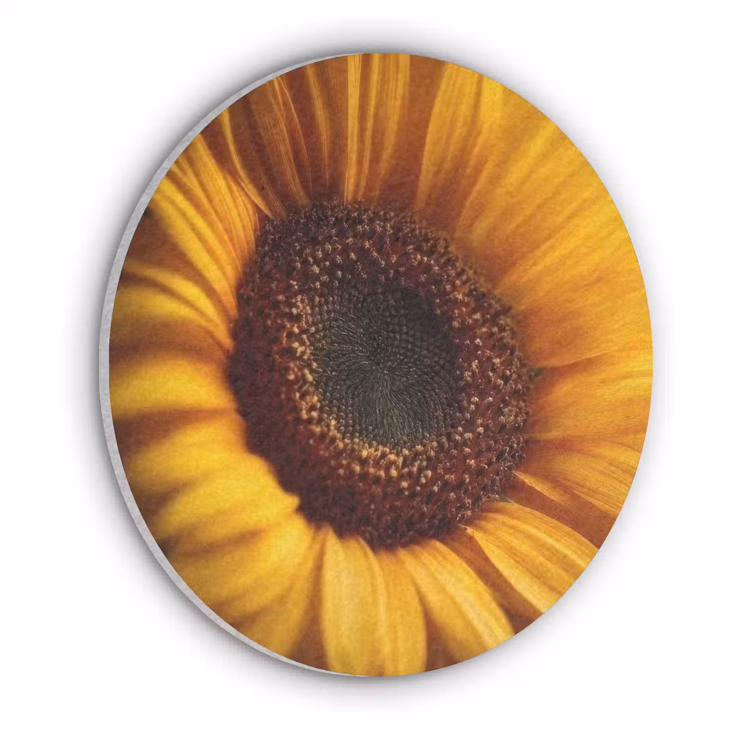 Geel - Zonnebloem - Zomers Akoestische PET Vilt - Rond klein -3d