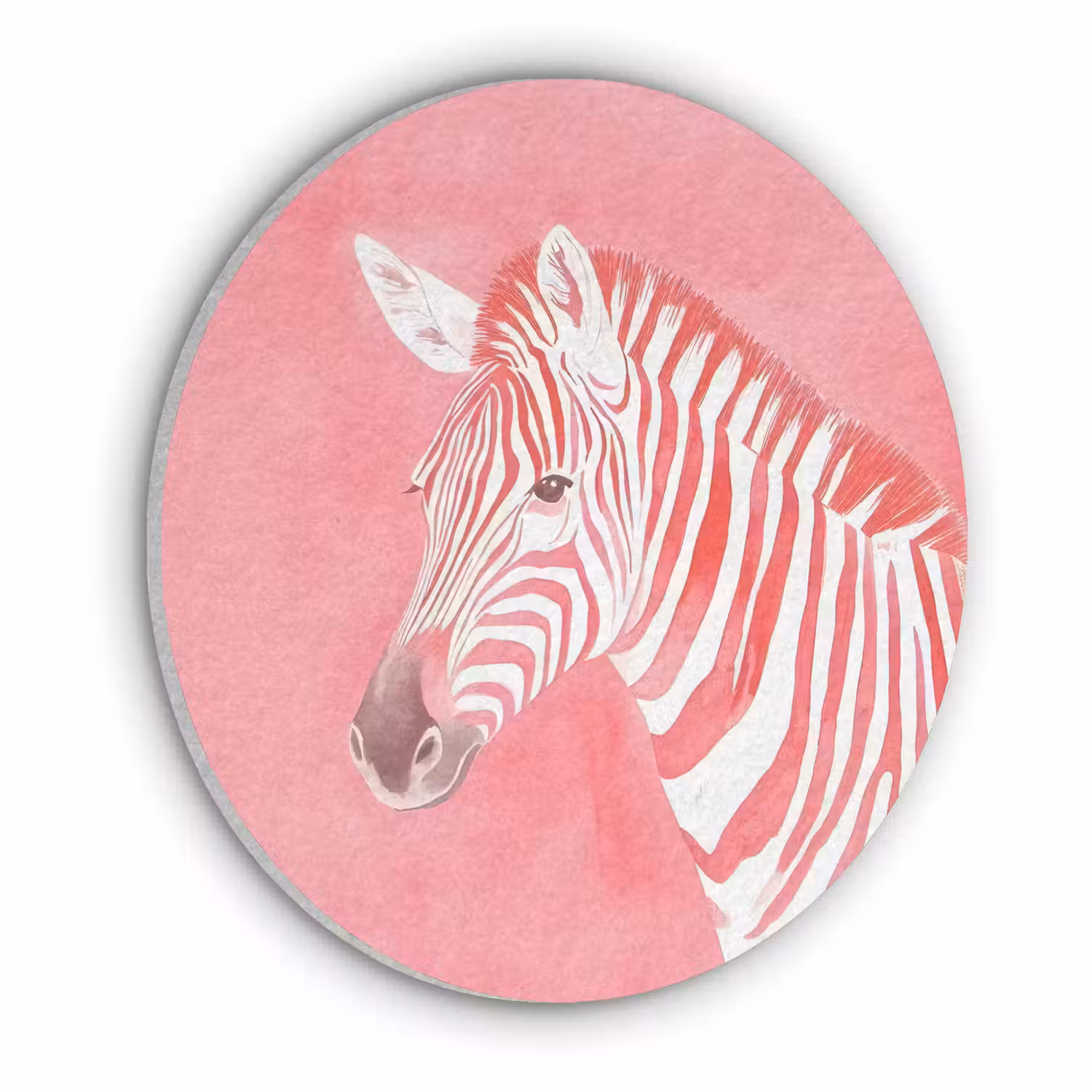 Zebra - Pink - Verf Akoestische PET Vilt - Rond klein -3d