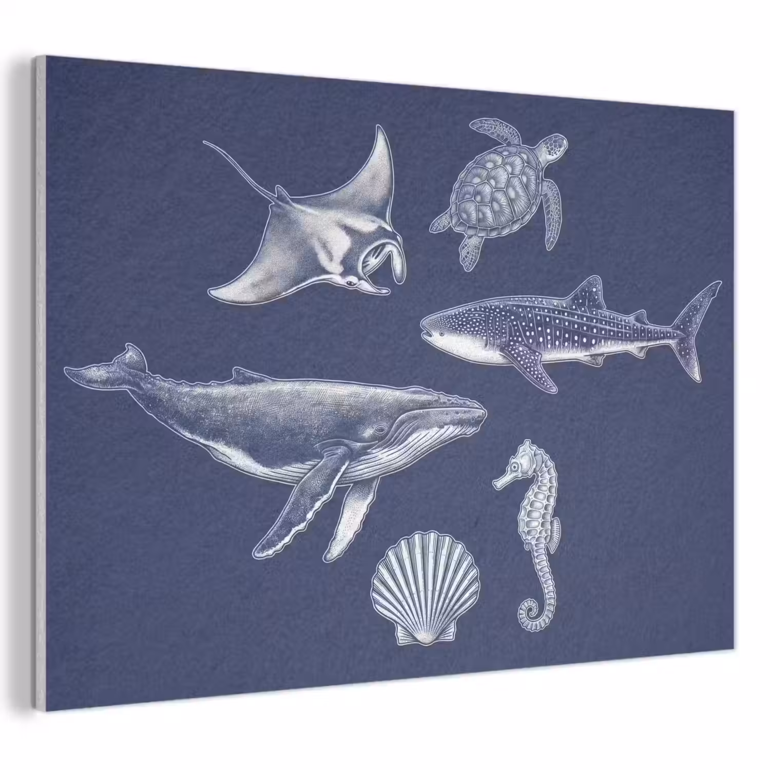 Dieren - Zeeleven - Oceaan - Graveren - Blauw PET vilt klein -3d