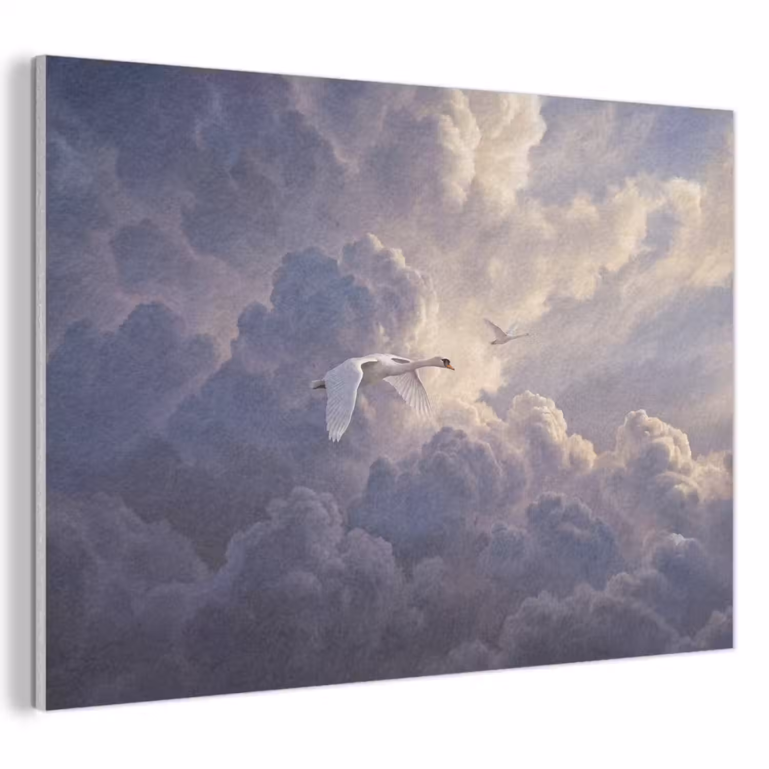 Vogel - Vliegend - Natuur - Wit - Wolken PET vilt klein -3d