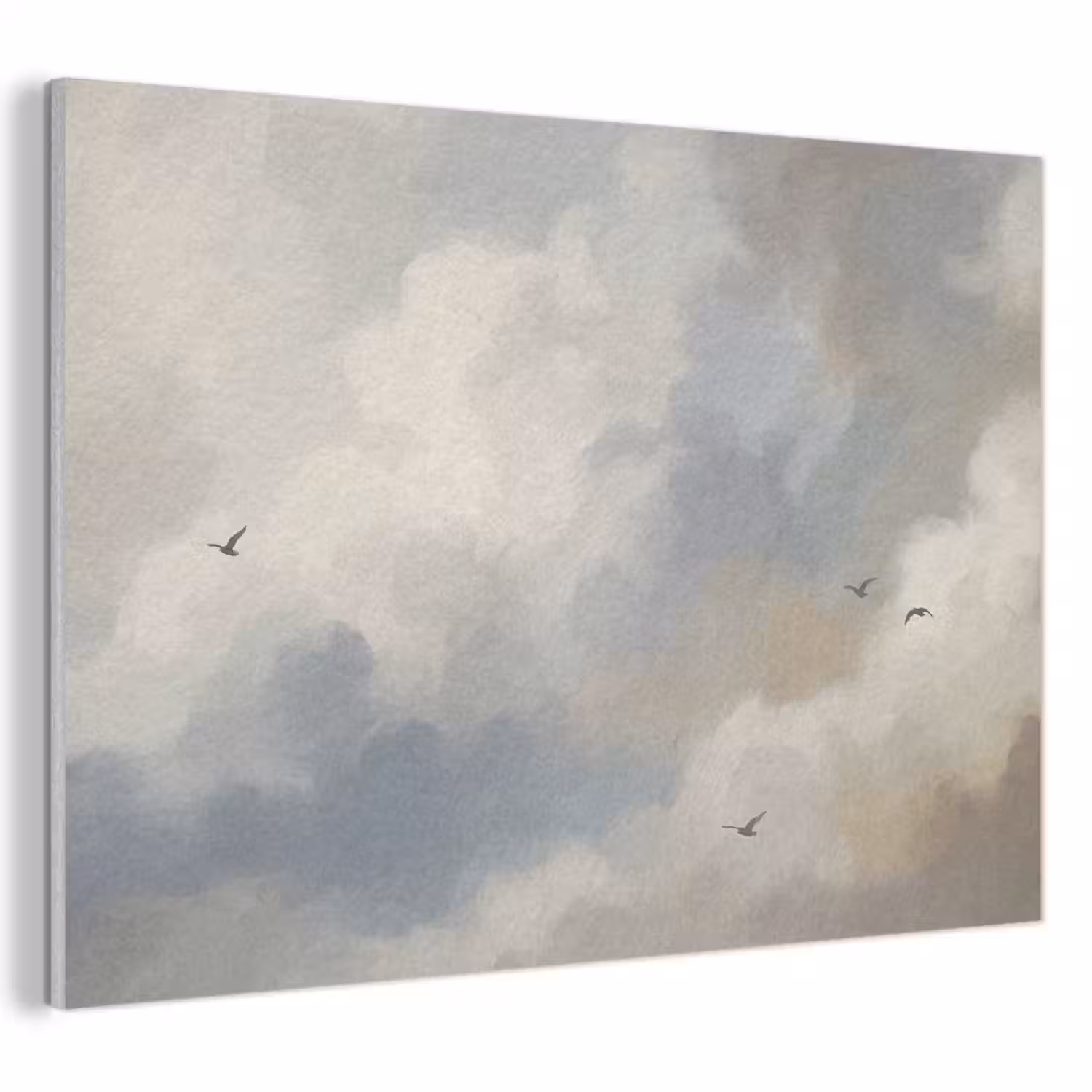 Vogel - Wolken - Natuur - Modern - Grijs PET vilt klein -3d