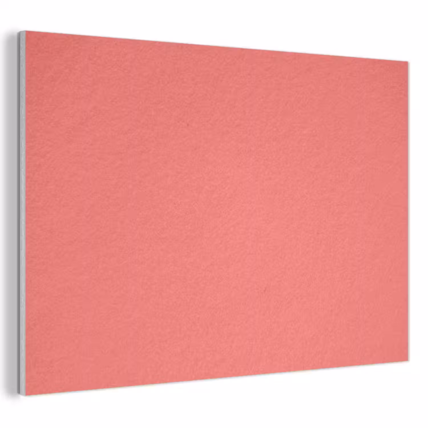Coral - Punch - Koraal PET vilt klein 837 -3d