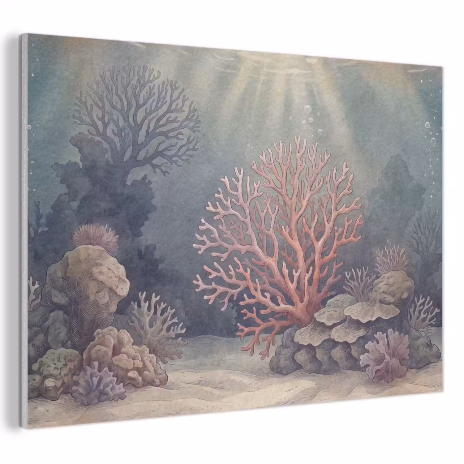 Koraal - Onderwater - Natuur - Roze PET vilt klein -3d