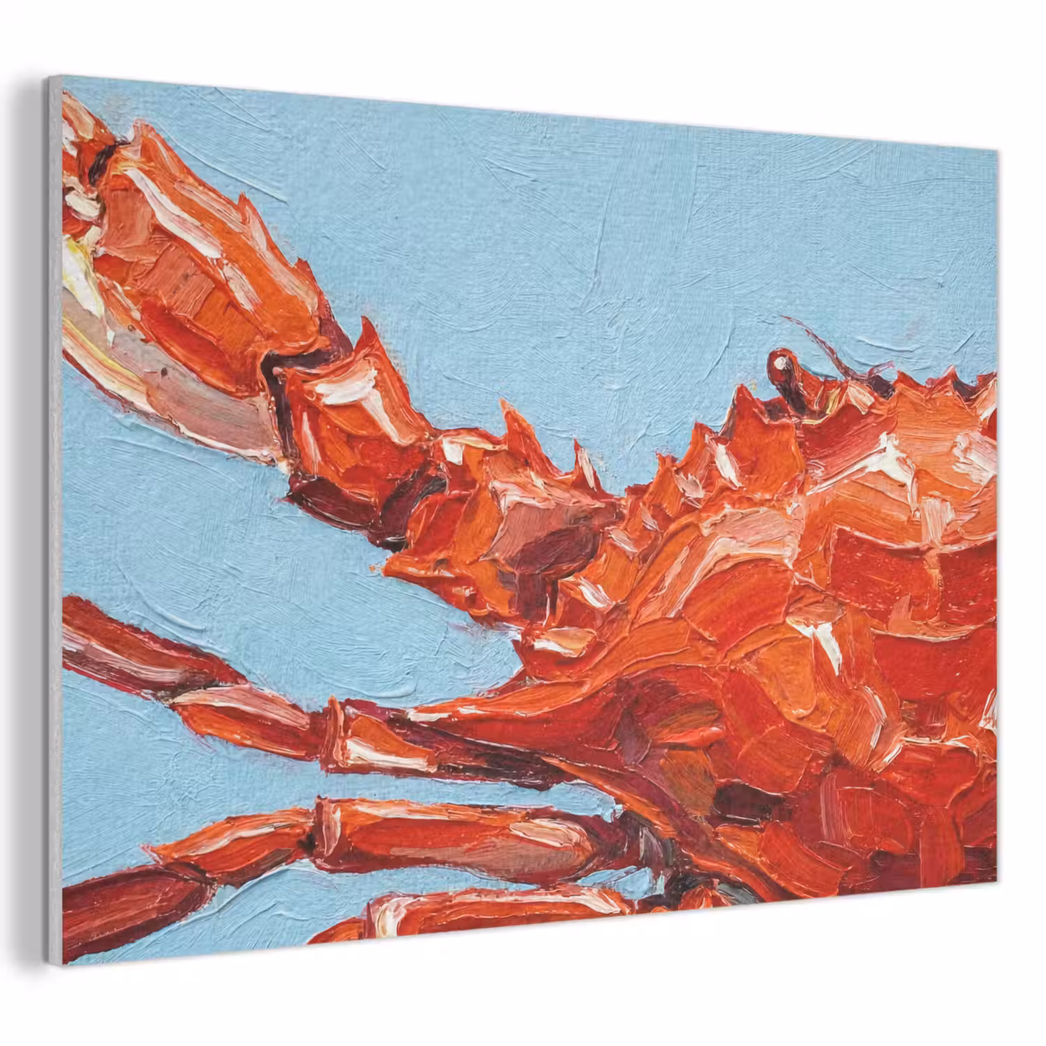 Krab - Zee - Dieren - Abstract - Rood PET vilt klein -3d