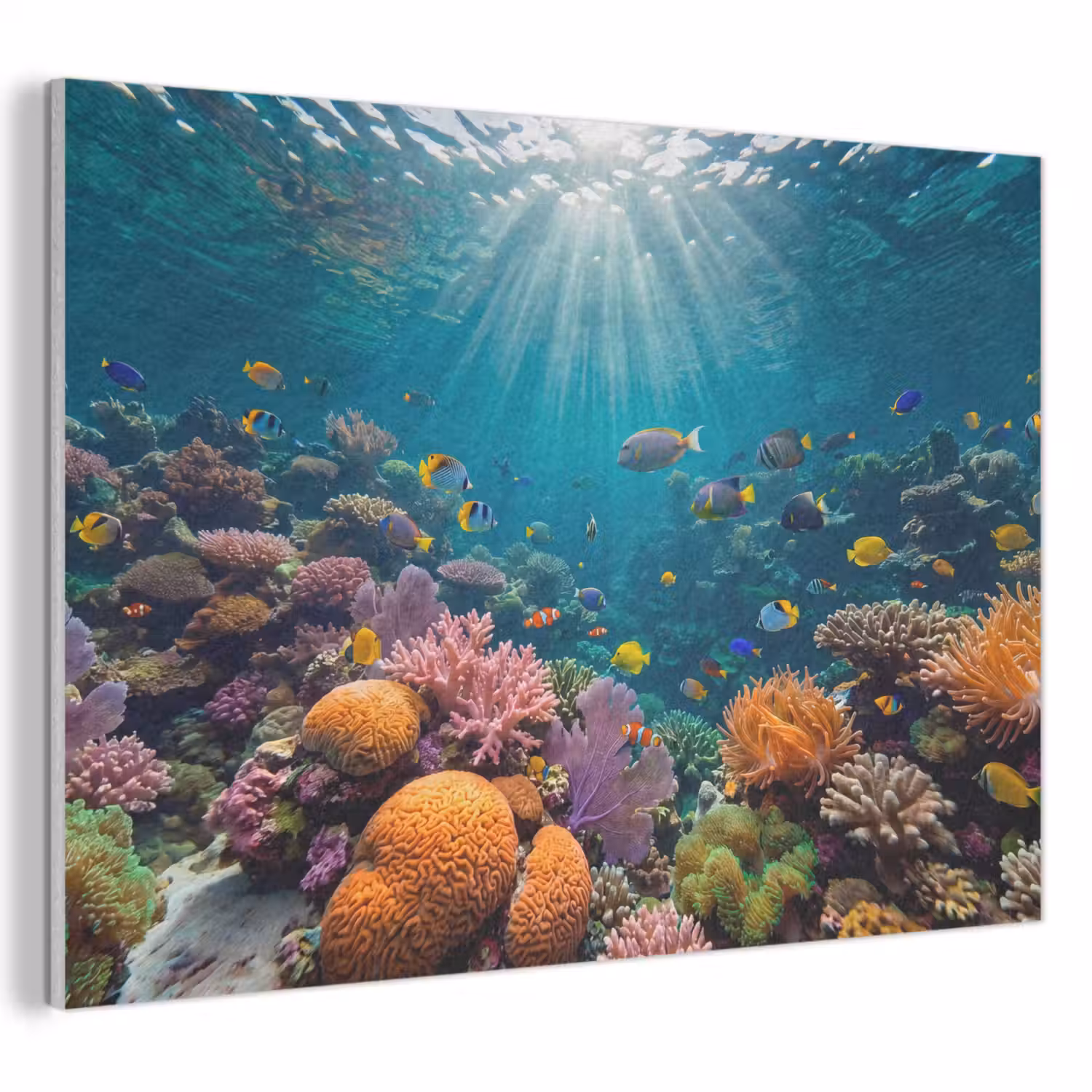 Vis - Koraal - Oceaan - Natuur - Kleurrijk PET vilt klein -3d