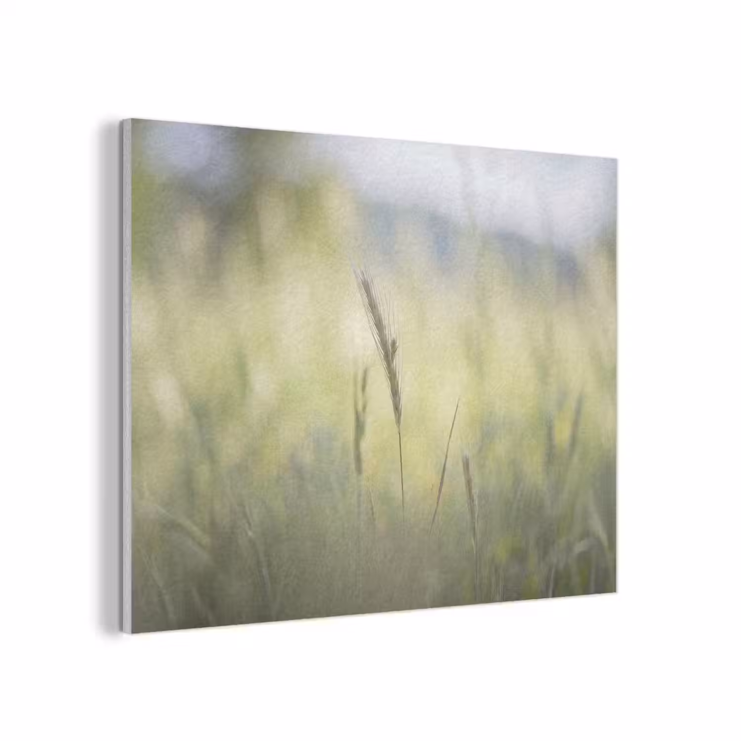 Graan - Aar - Natuur - Groen - Detail PET vilt klein -3d