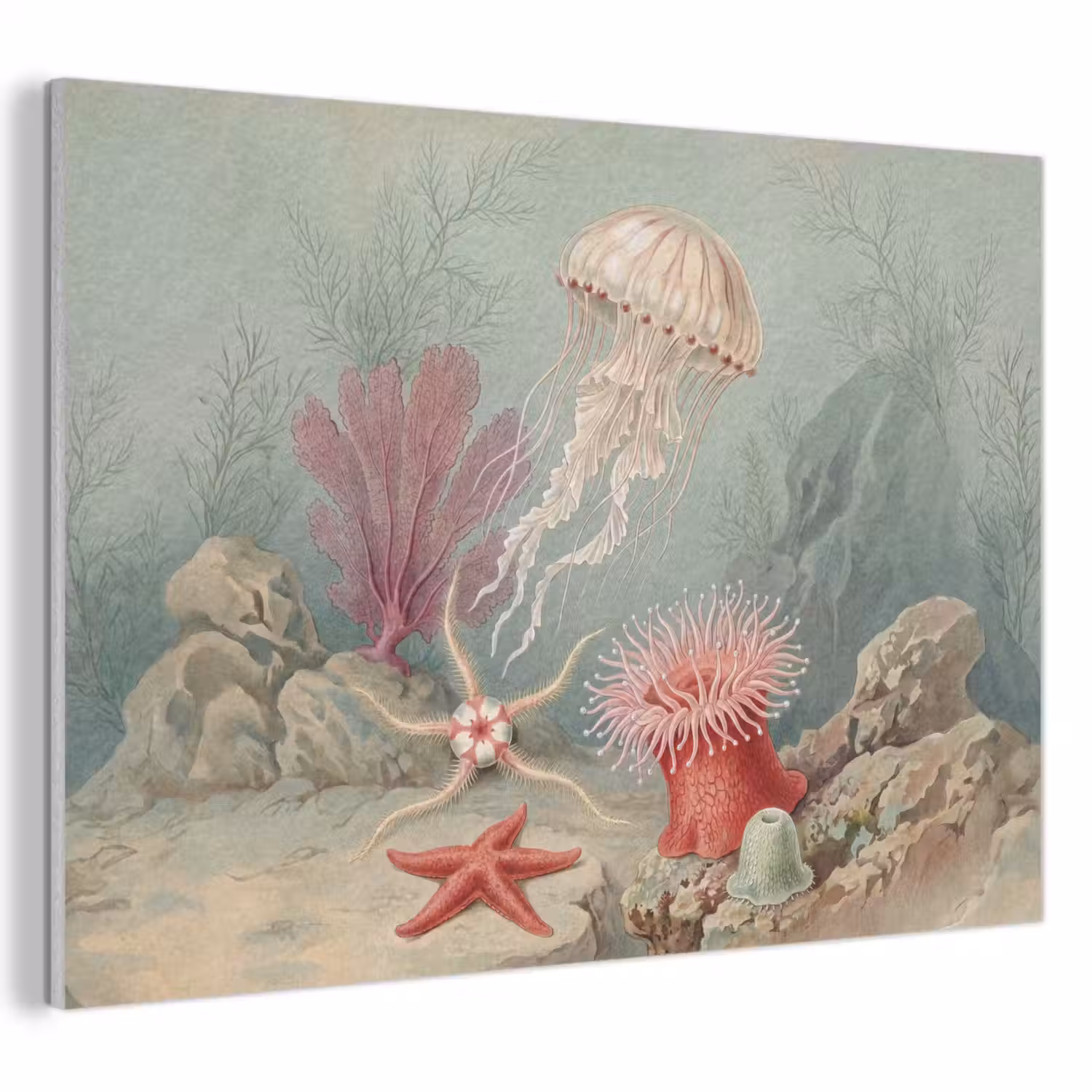 Zeeleven - Kwal - Onderwater - Illustratie - Beige PET vilt klein -3d
