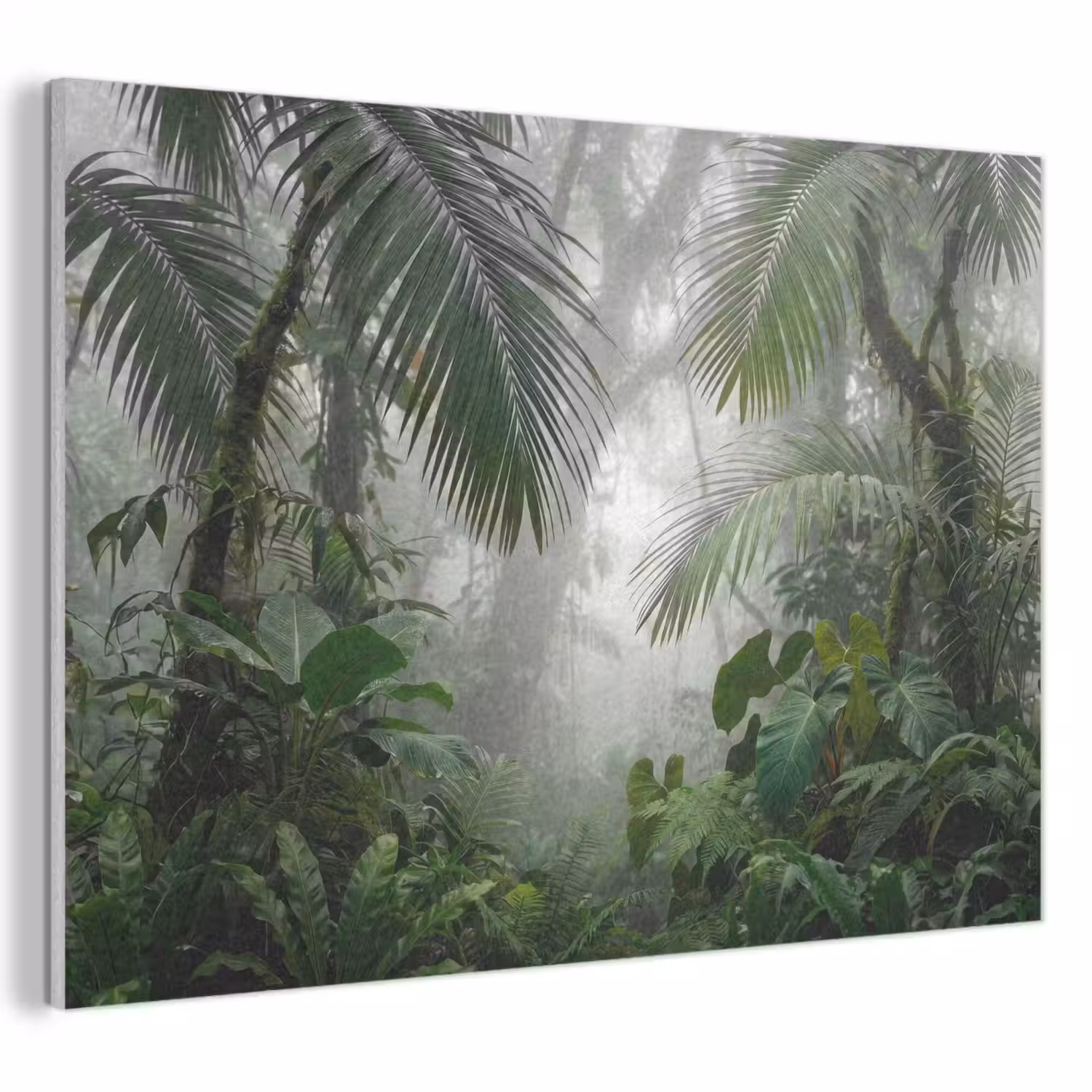 Natuur - Jungle - Mist - Tropisch - Groen PET vilt klein -3d