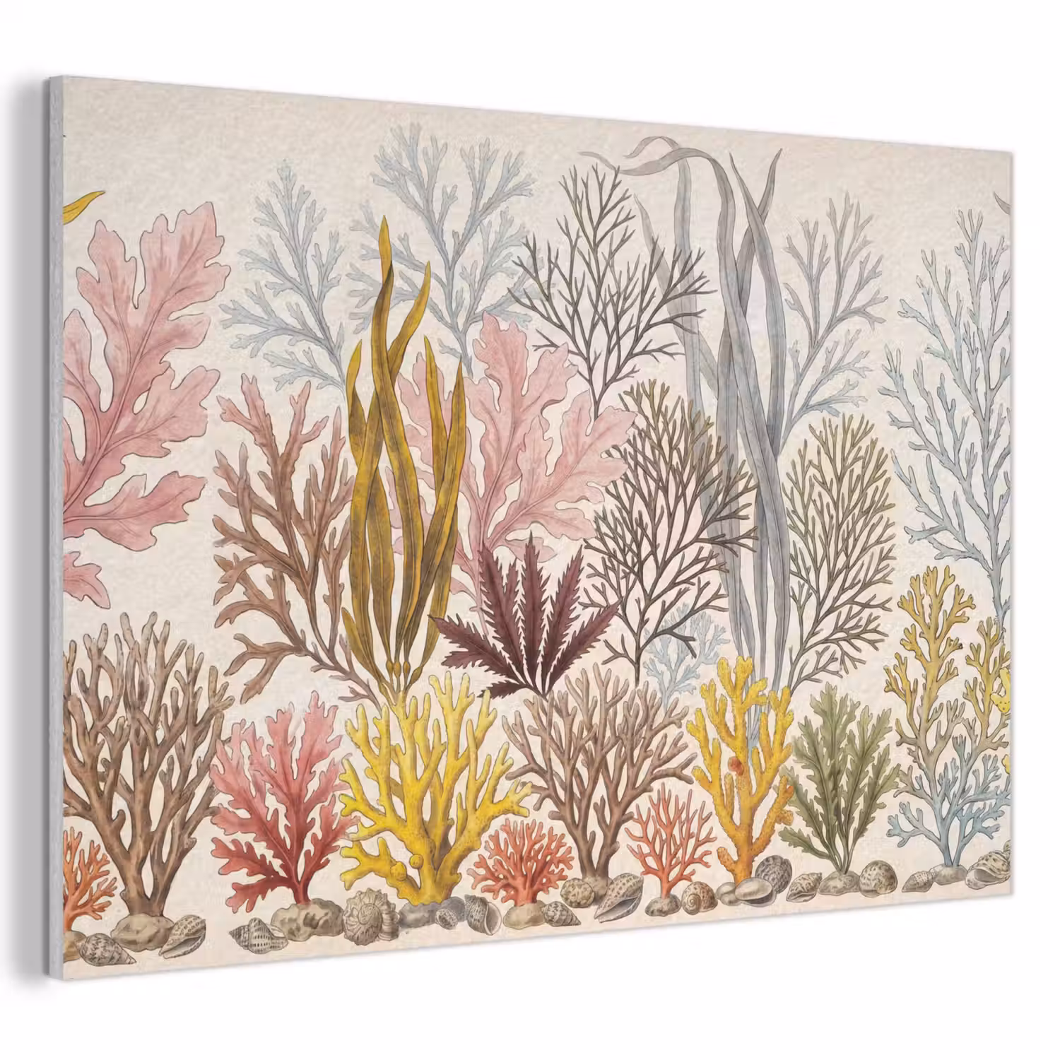 Natuur - Onderwater - Botanisch - Vintage - Kleurrijk PET vilt klein -3d