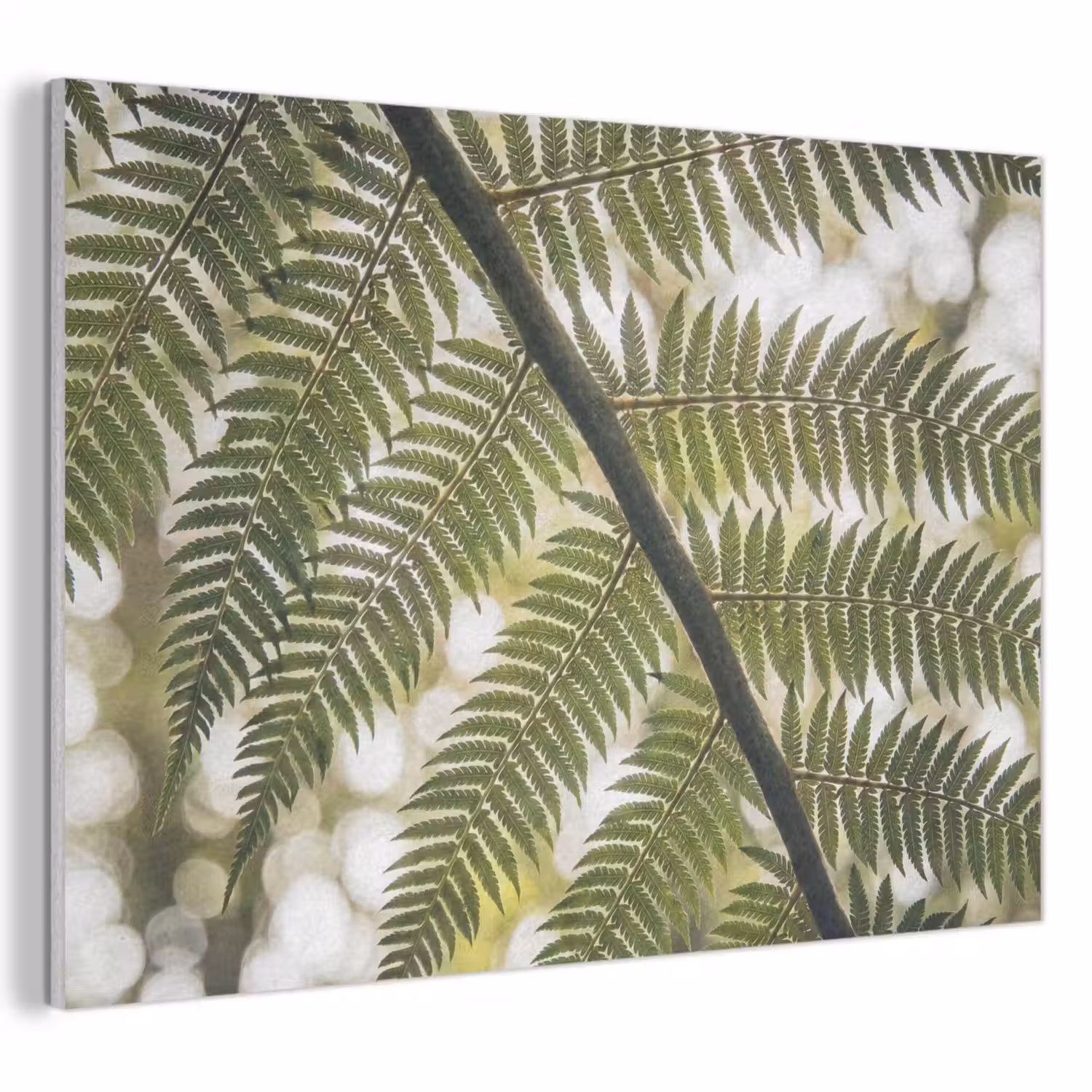Plant - Blad - Natuur - Groen - Detail PET vilt klein -3d