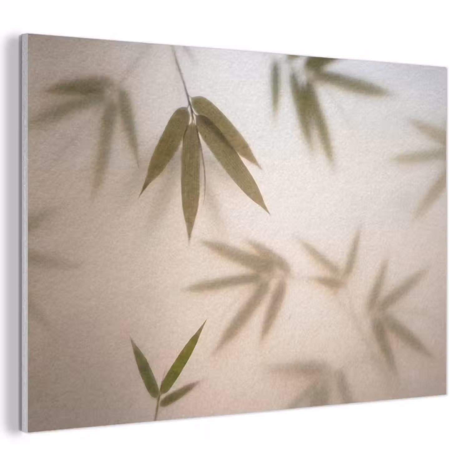 Planten - Bladeren - Natuur - Groen PET vilt klein -3d