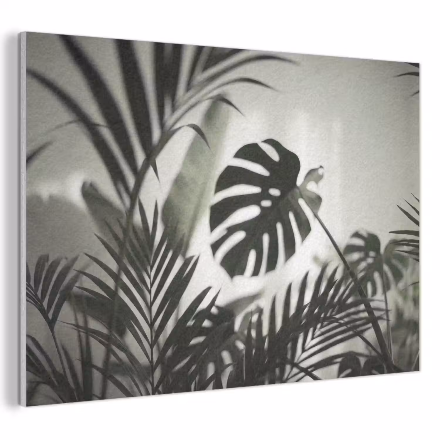 Planten - Bladeren - Natuur - Minimalistisch - Groen PET vilt klein -3d