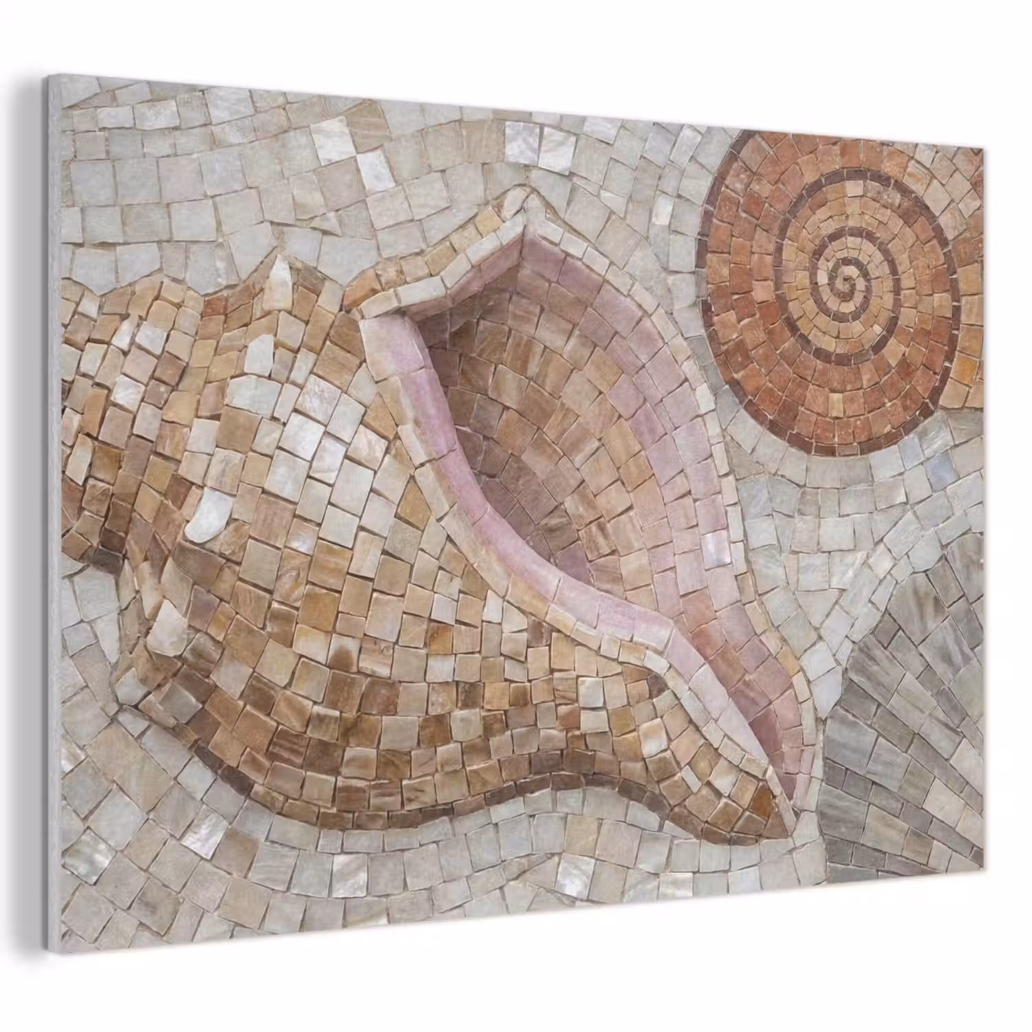 Schelp - Mozaïek - Zee - Beige - Modern PET vilt klein -3d