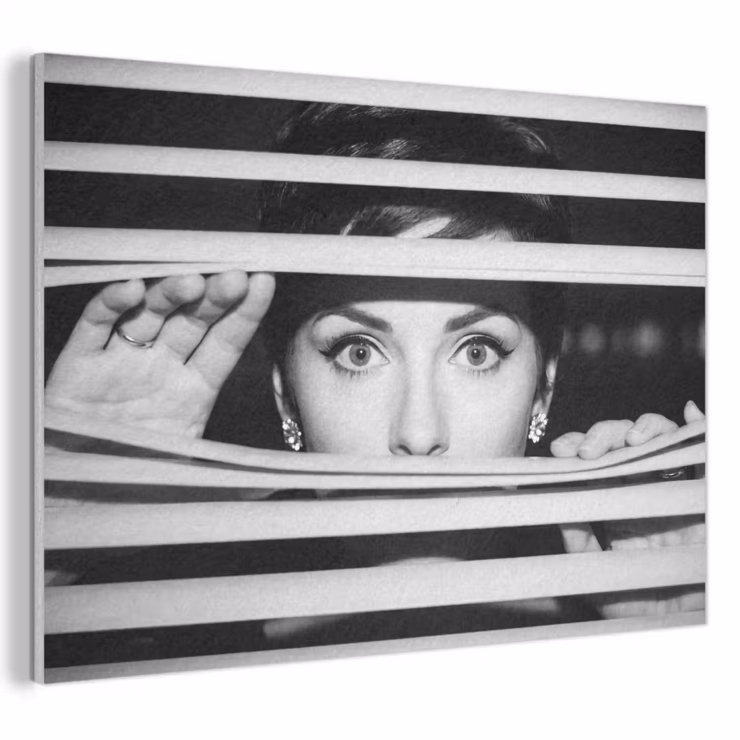 Vrouw - Jaloezieƫn - Portret - Zwart-wit PET vilt klein -3d