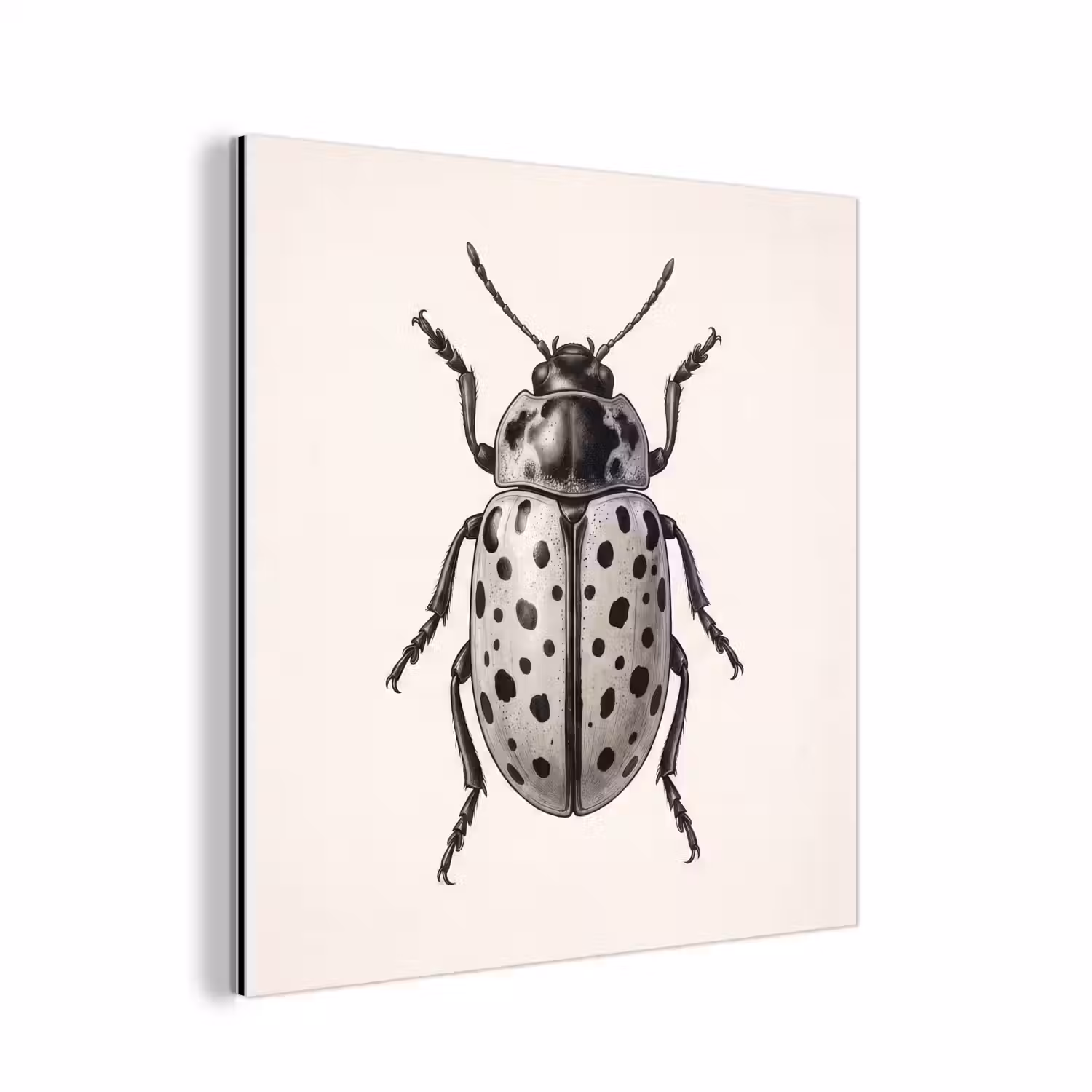 Kever - Insect - Vintage aluminium wit klein -3d