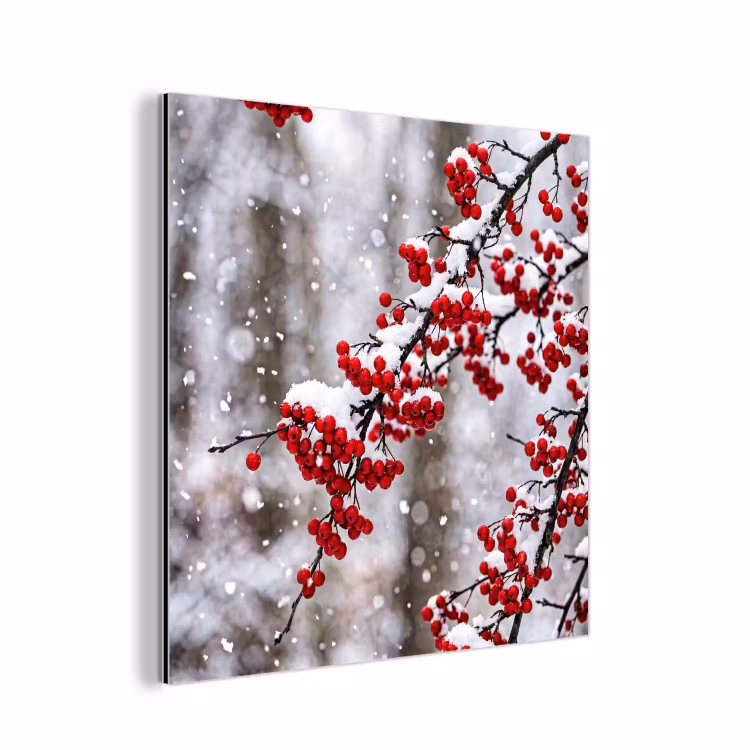 Bessen - Takken - Sneeuw - Winter - Kleurrijk aluminium wit klein -3d