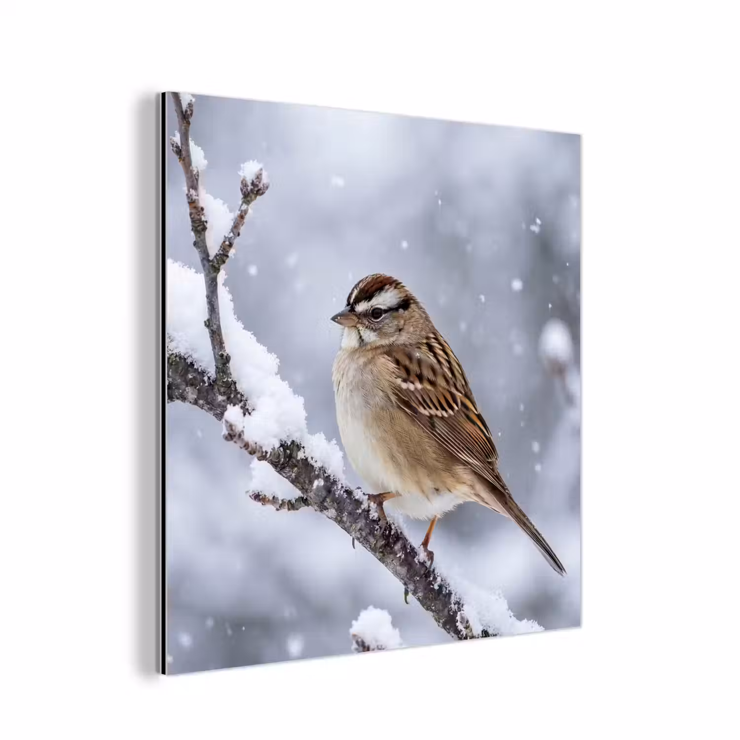 Vogel - Tak - Sneeuw - Winter aluminium wit klein -3d