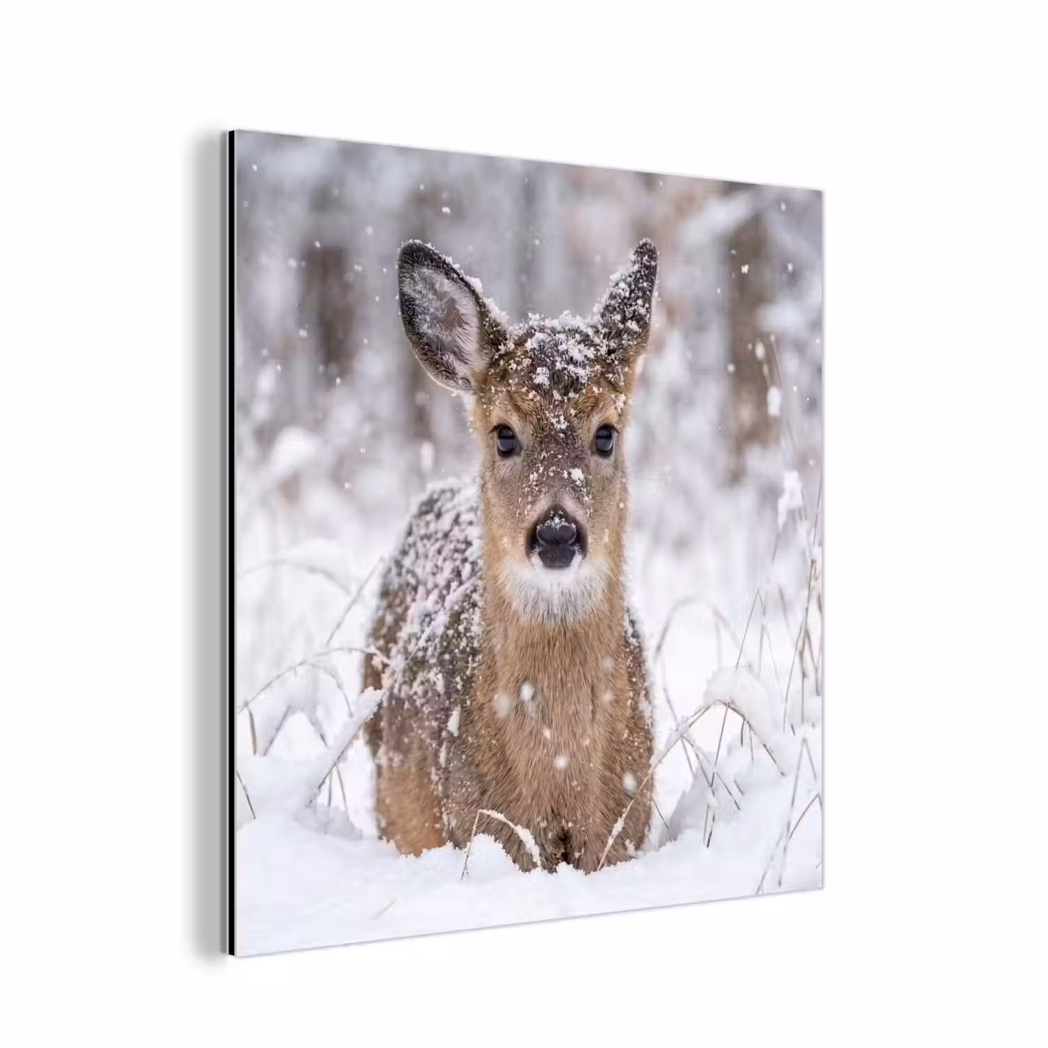 Hert - Sneeuw - Bos - Dieren - Vertederend aluminium wit klein -3d