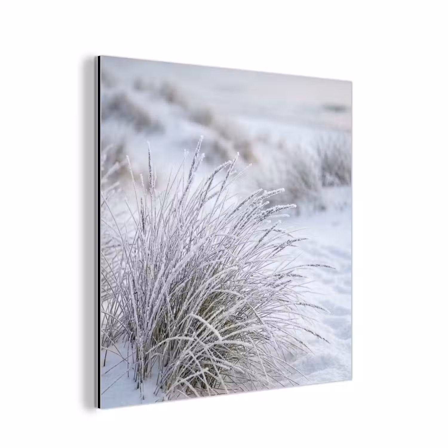 Duinen - Sneeuw - Strand - Winter - Serene aluminium wit klein -3d