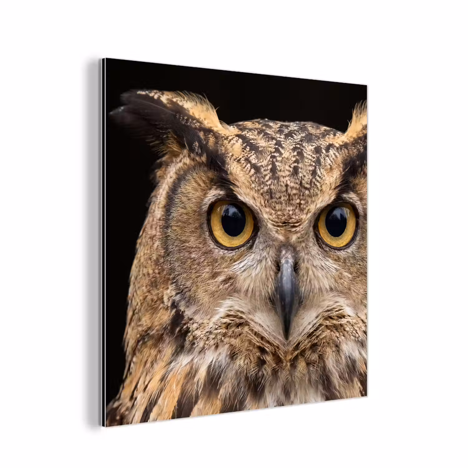 Oehoe - Uil - Portret - Bruin aluminium wit klein -3d