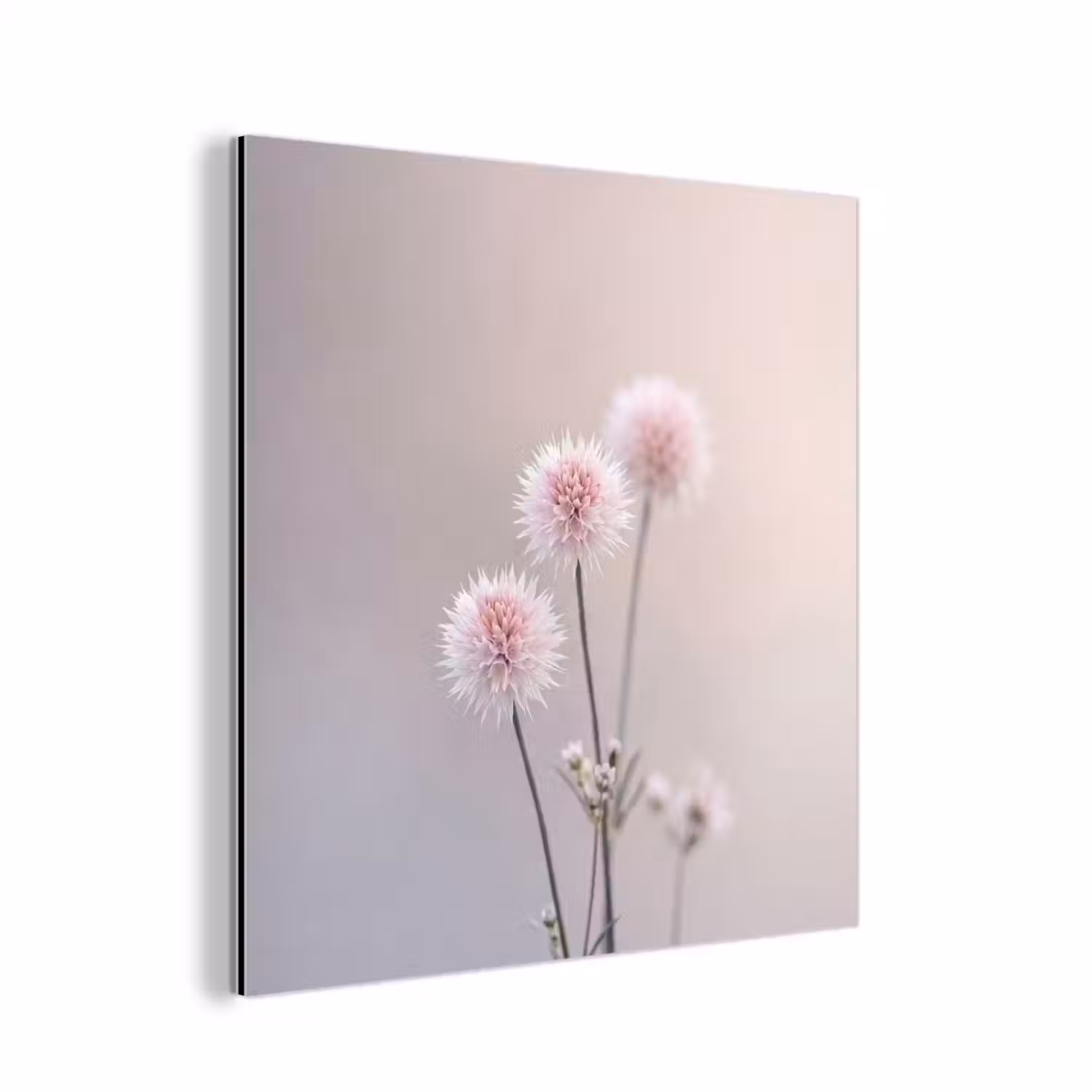 Bloemen - Bollen - Roze aluminium wit klein -3d