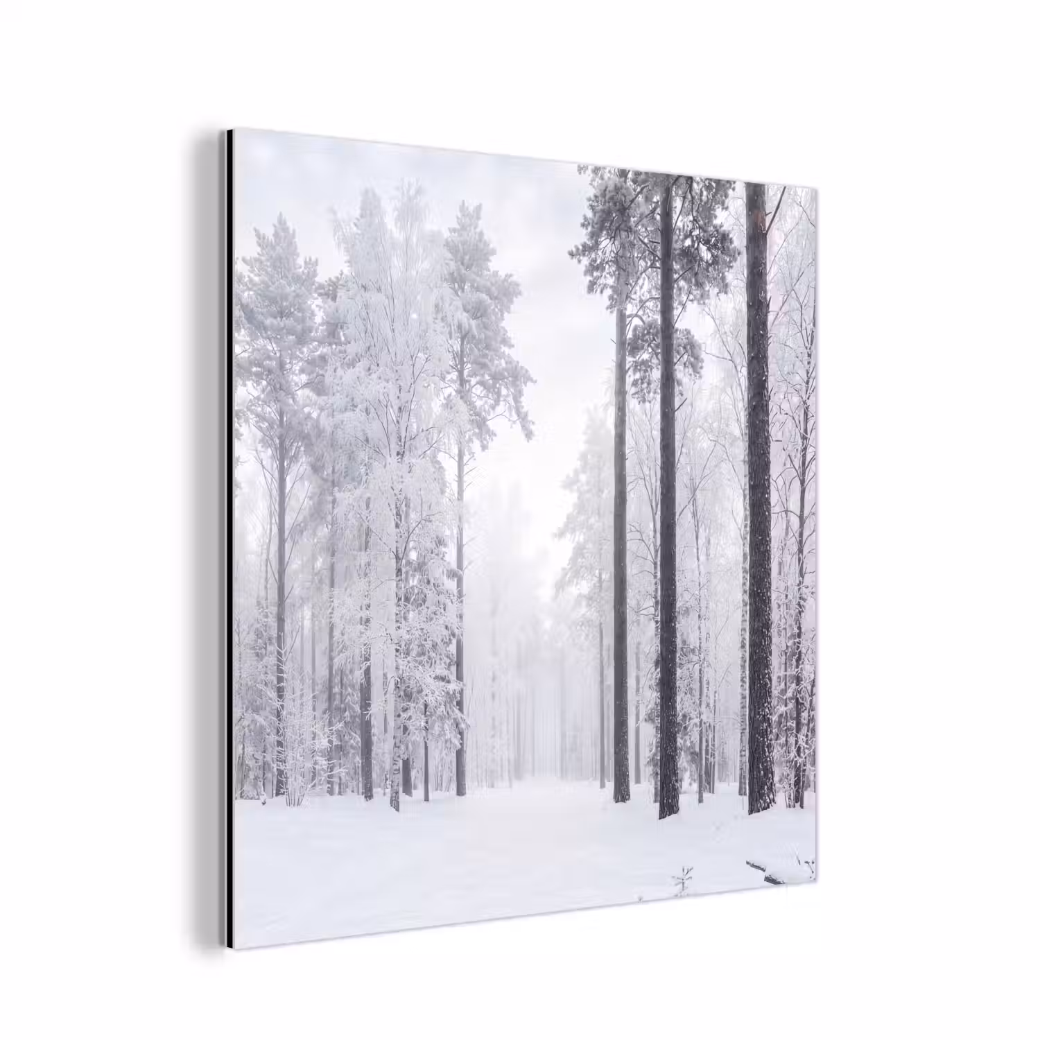 Bos - Sneeuw - Pad - Winter - Stilte aluminium wit klein -3d