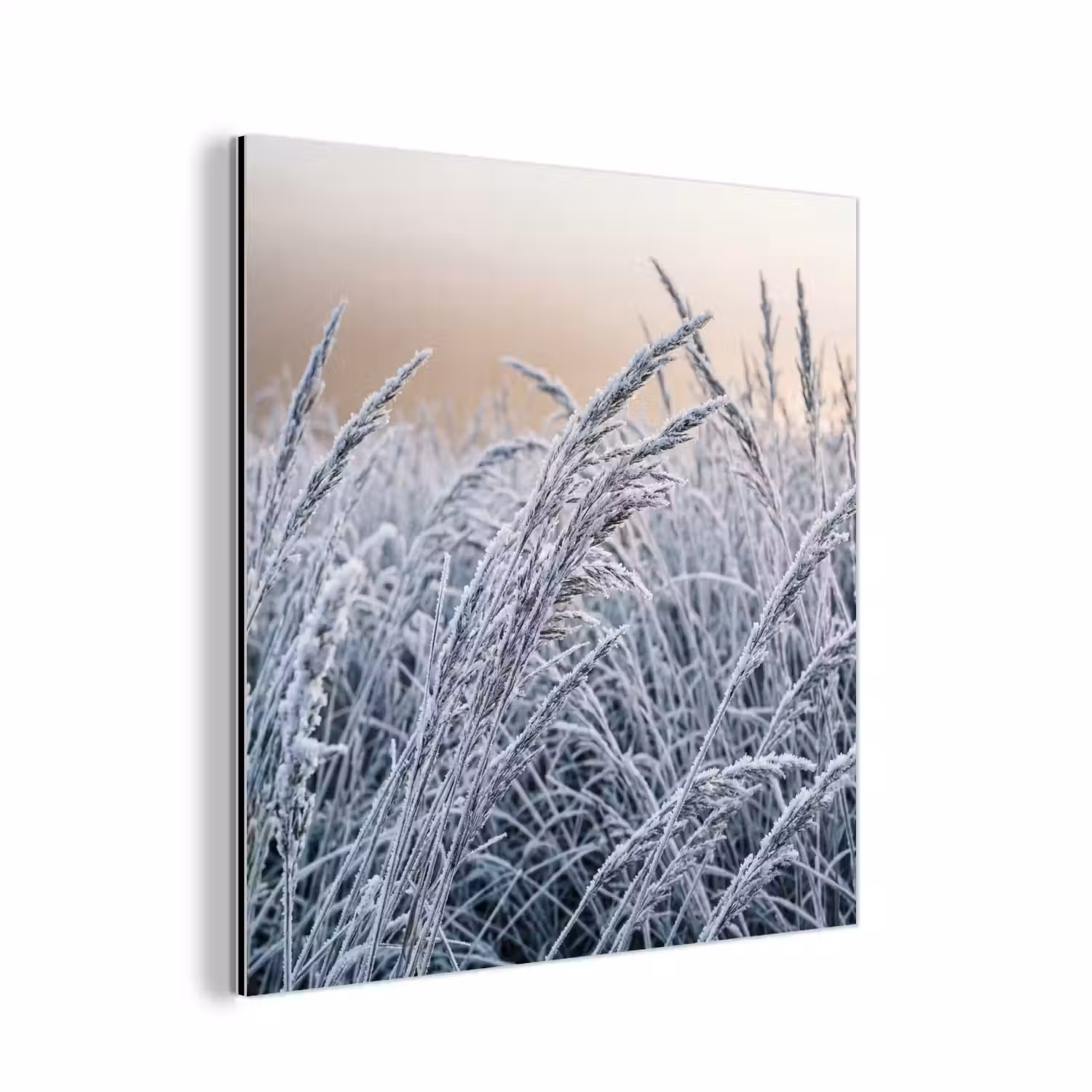 Rijp - Gras - Kristallen - Winter - Minimalistisch aluminium wit klein -3d