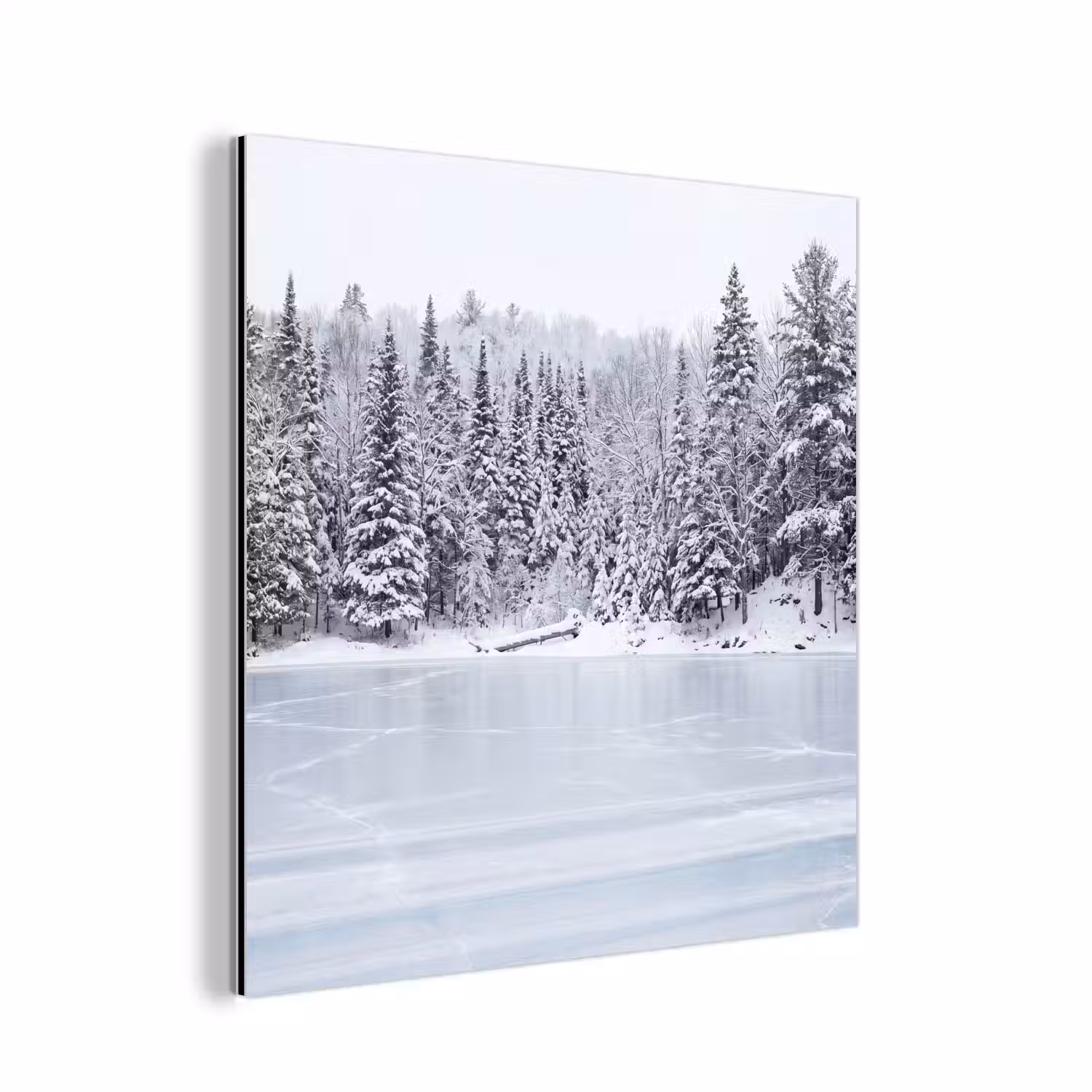 Meer - Dennen - IJs - Winter - Rustgevend aluminium wit klein -3d